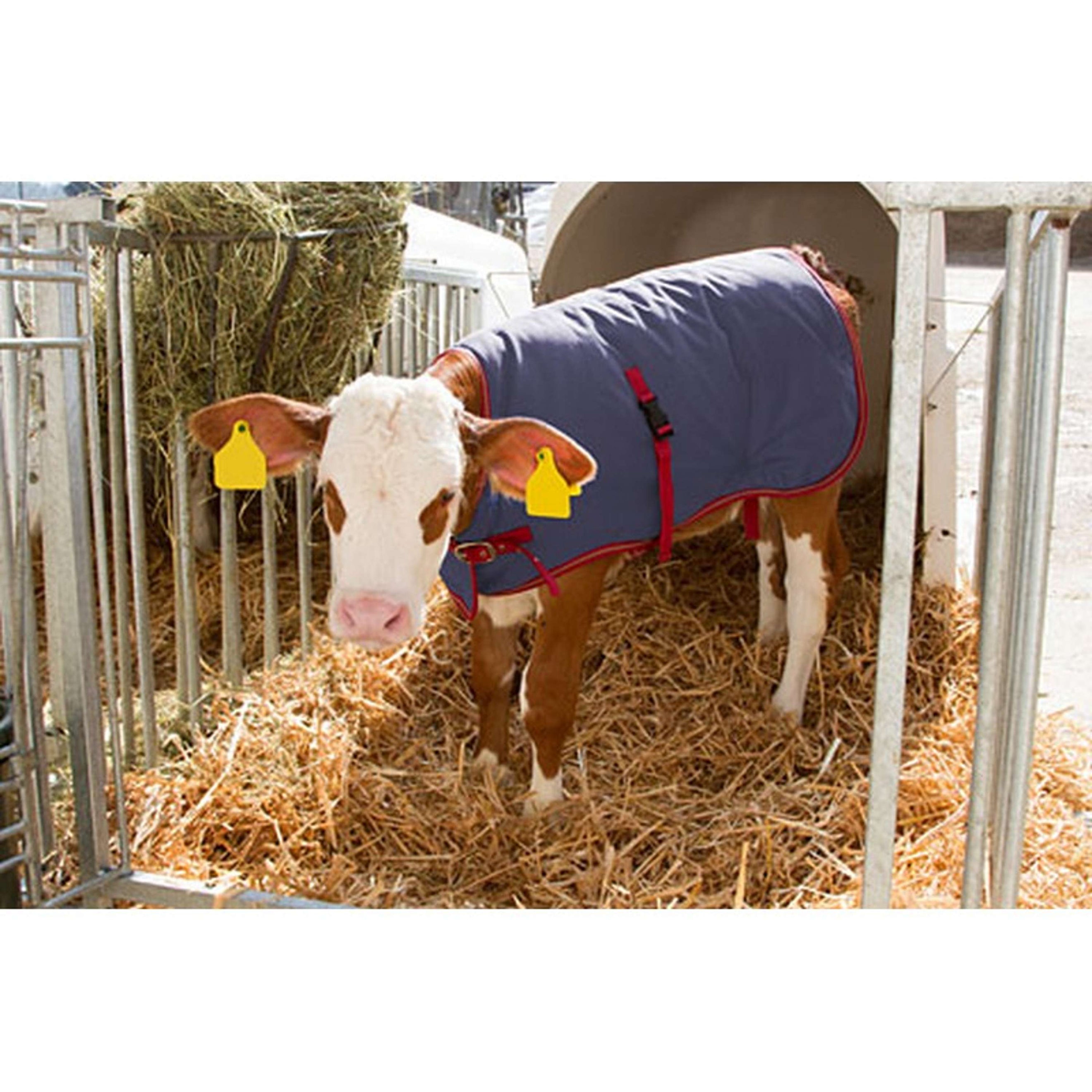 Kerbl Kälberdecke Thermo Plus Kerbl Kälberdecke Thermo Plus