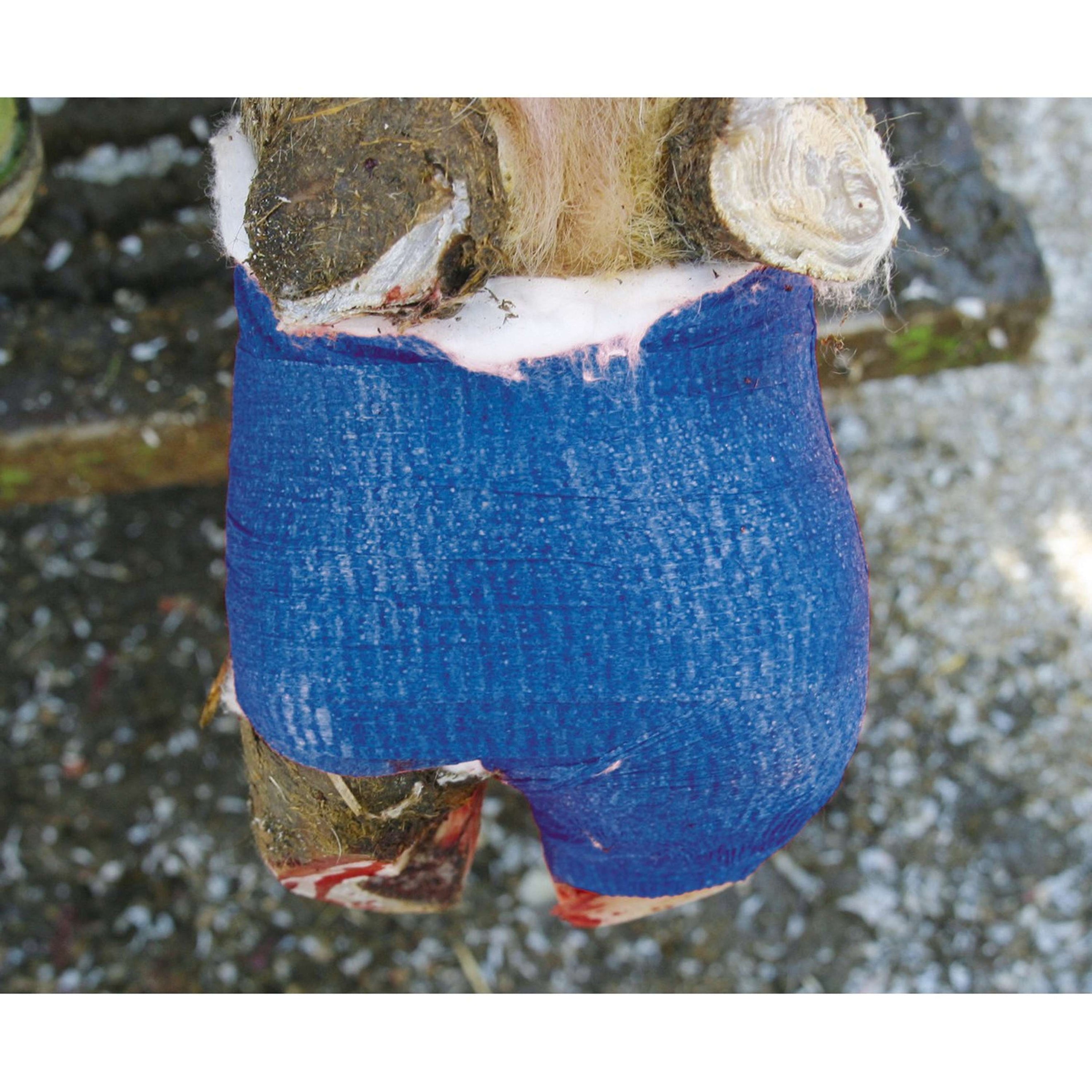 Kerbl VetLastic selbsthaft. Bandage Blau Kerbl VetLastic selbsthaft. Bandage Blau