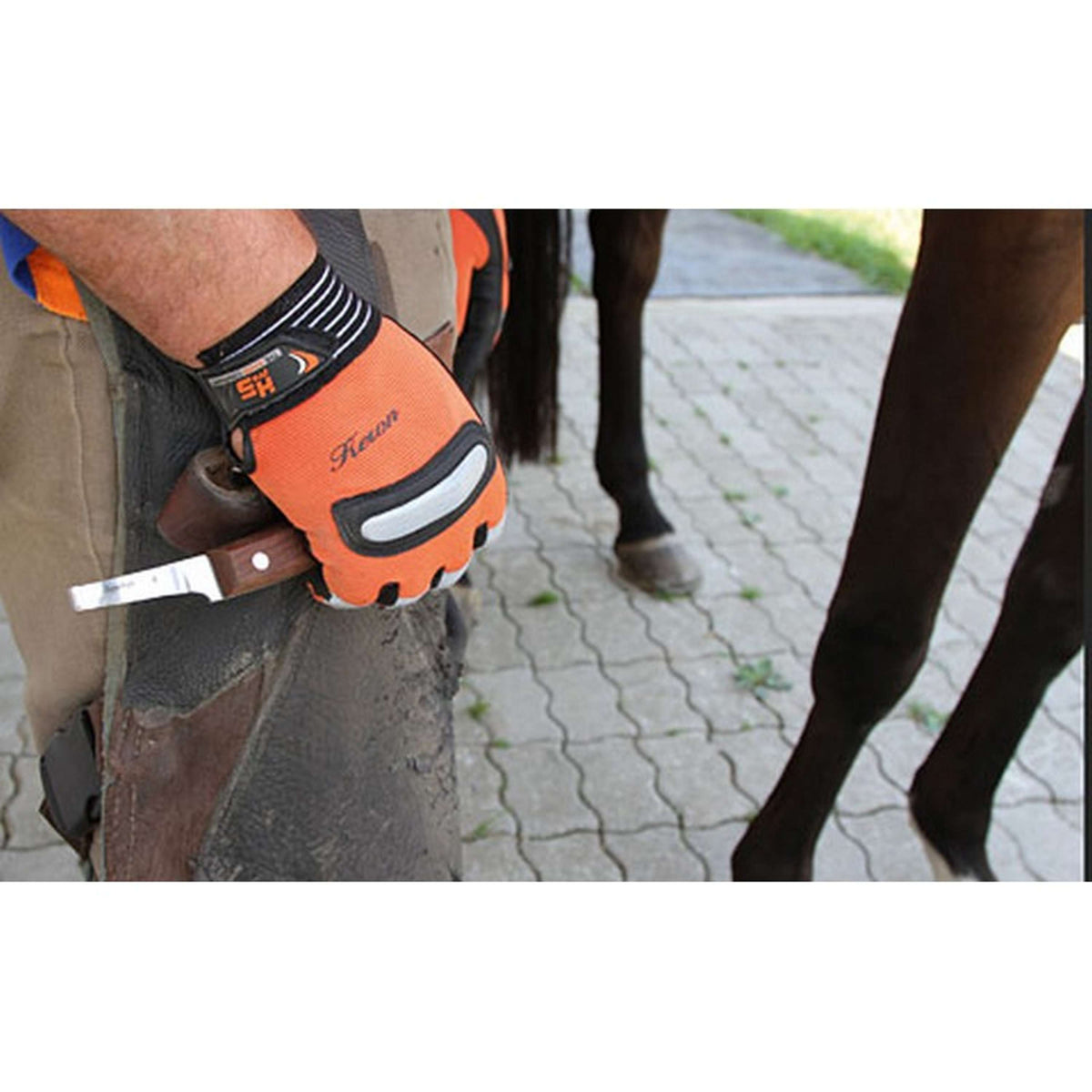 Kerbl Huf- und Klauenmesser SuperProfi Rechts