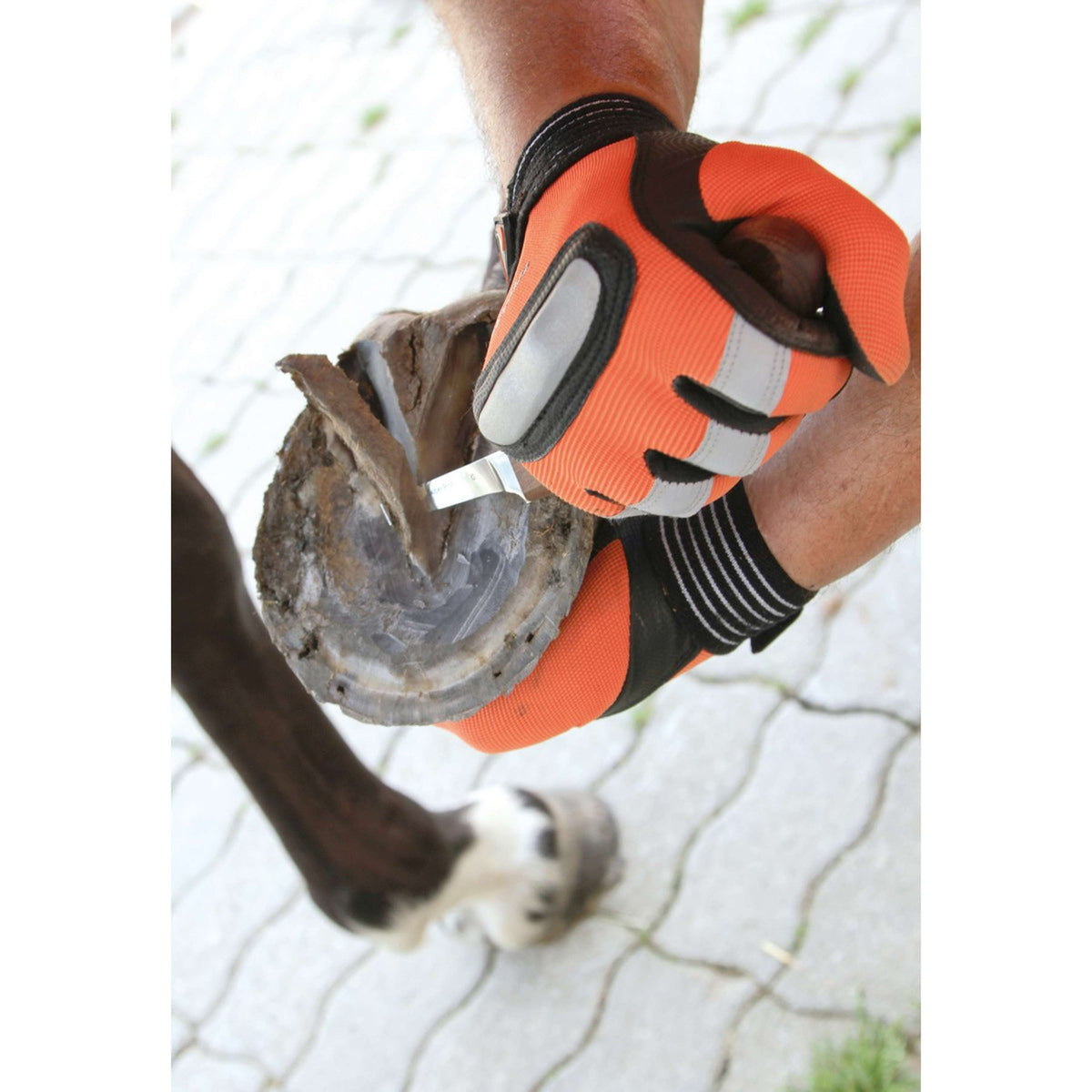 Kerbl Huf- und Klauenmesser SuperProfi Rechts