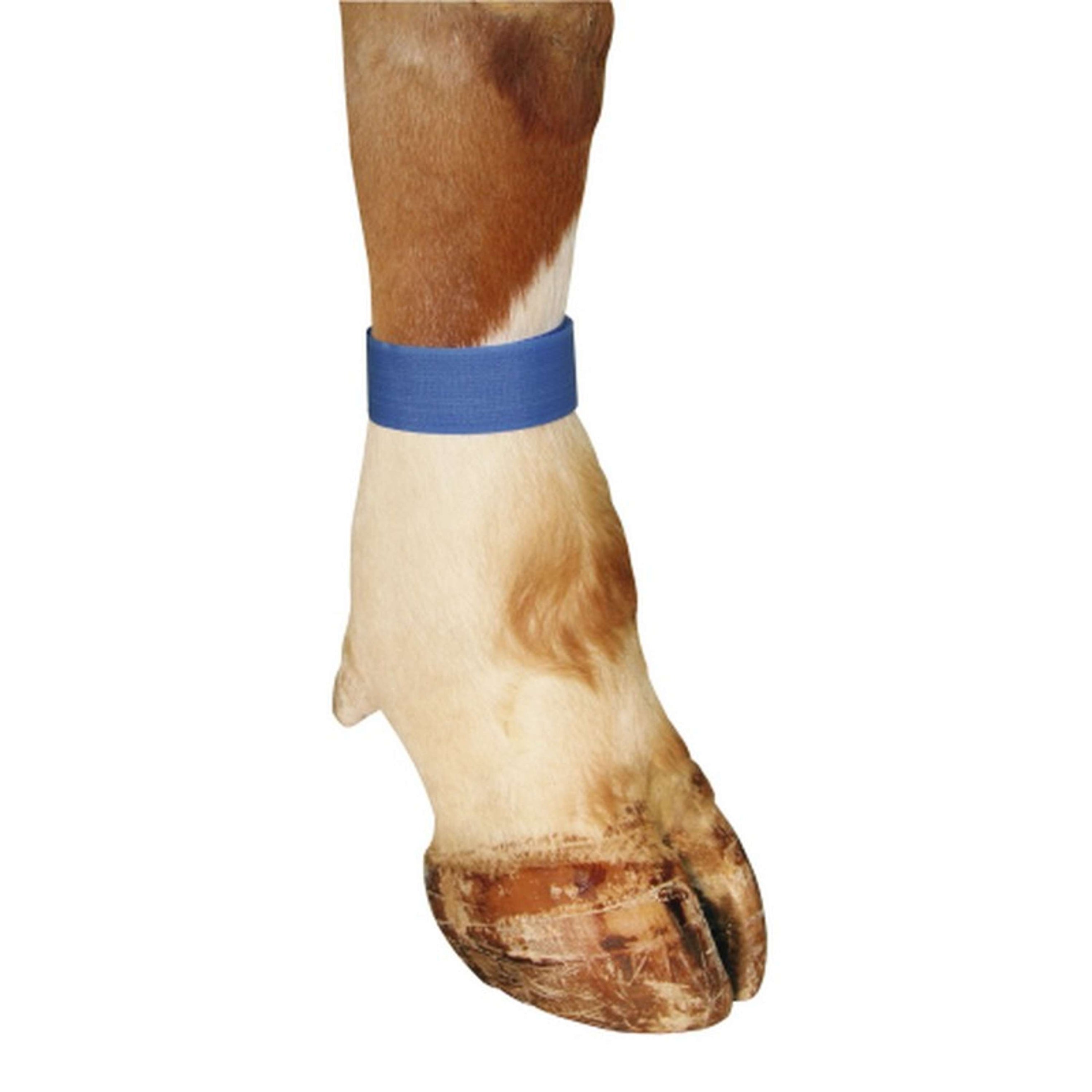 Kerbl Markierungsbänder Klettv. 10 Stück Blau Kerbl Markierungsbänder Klettv. 10 Stück Blau