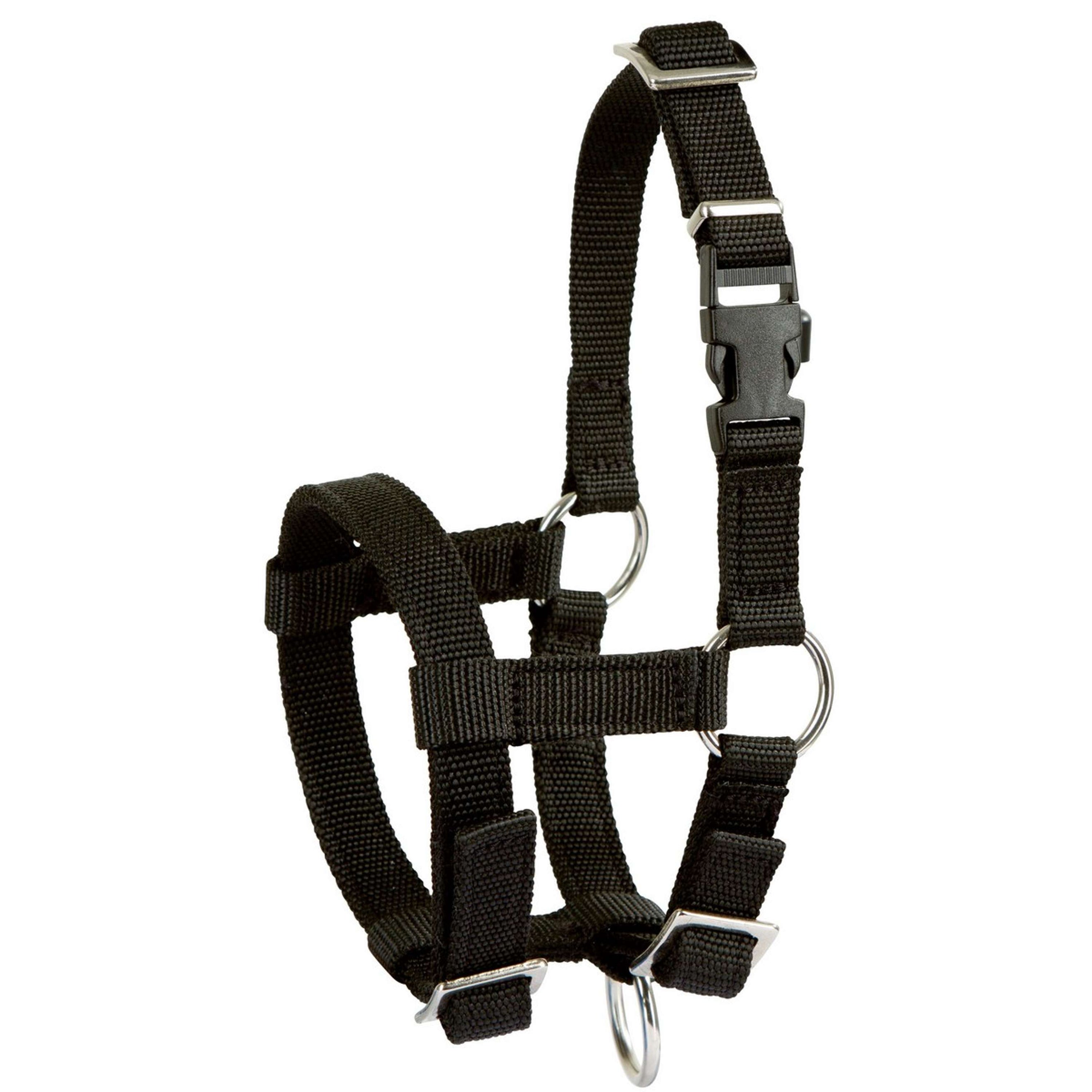 Kerbl Alpaca Halfter Verstellbar Schwarz Kerbl Alpaca Halfter Verstellbar Schwarz