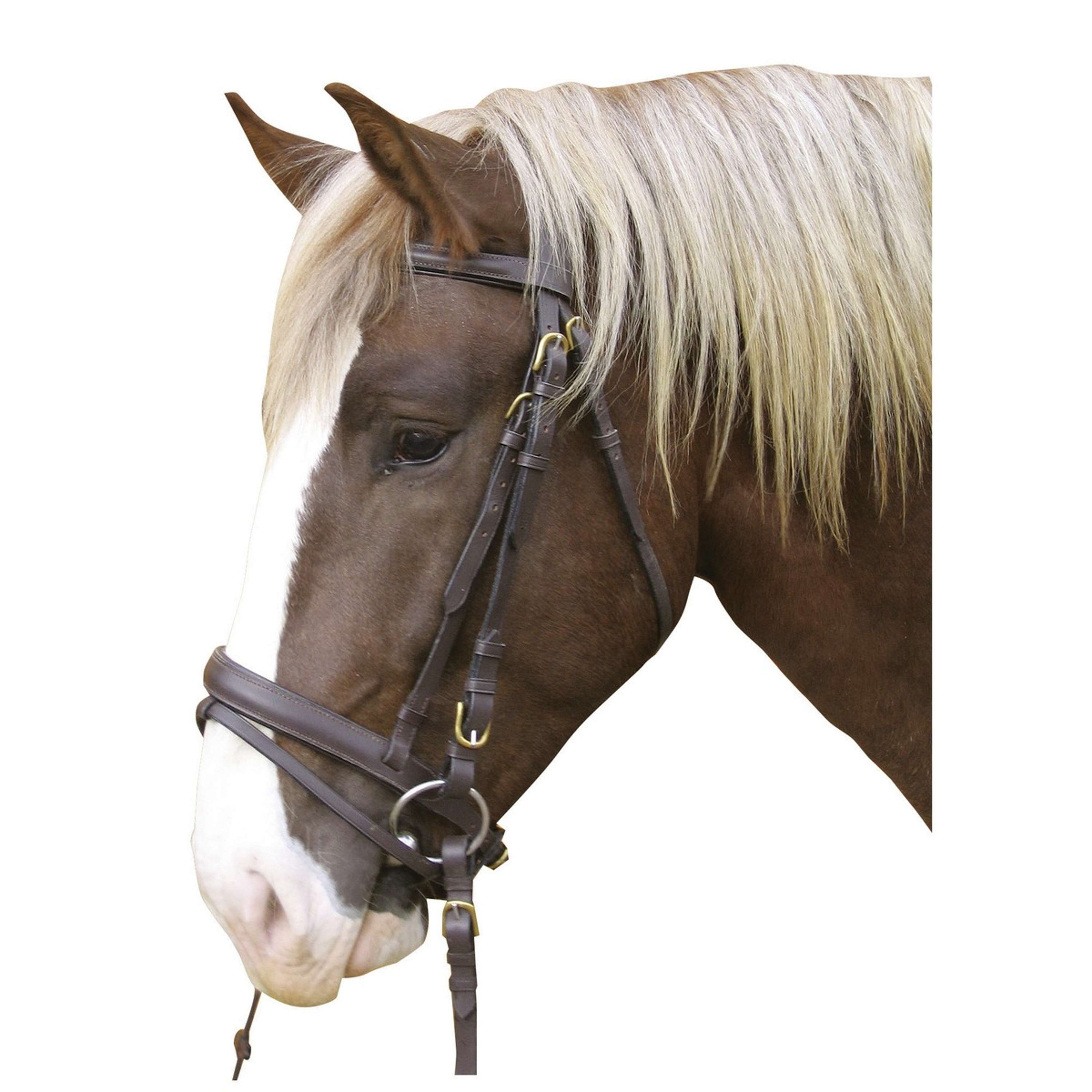 Kerbl Trensenzaum Leder Braun Kerbl Trensenzaum Leder Braun