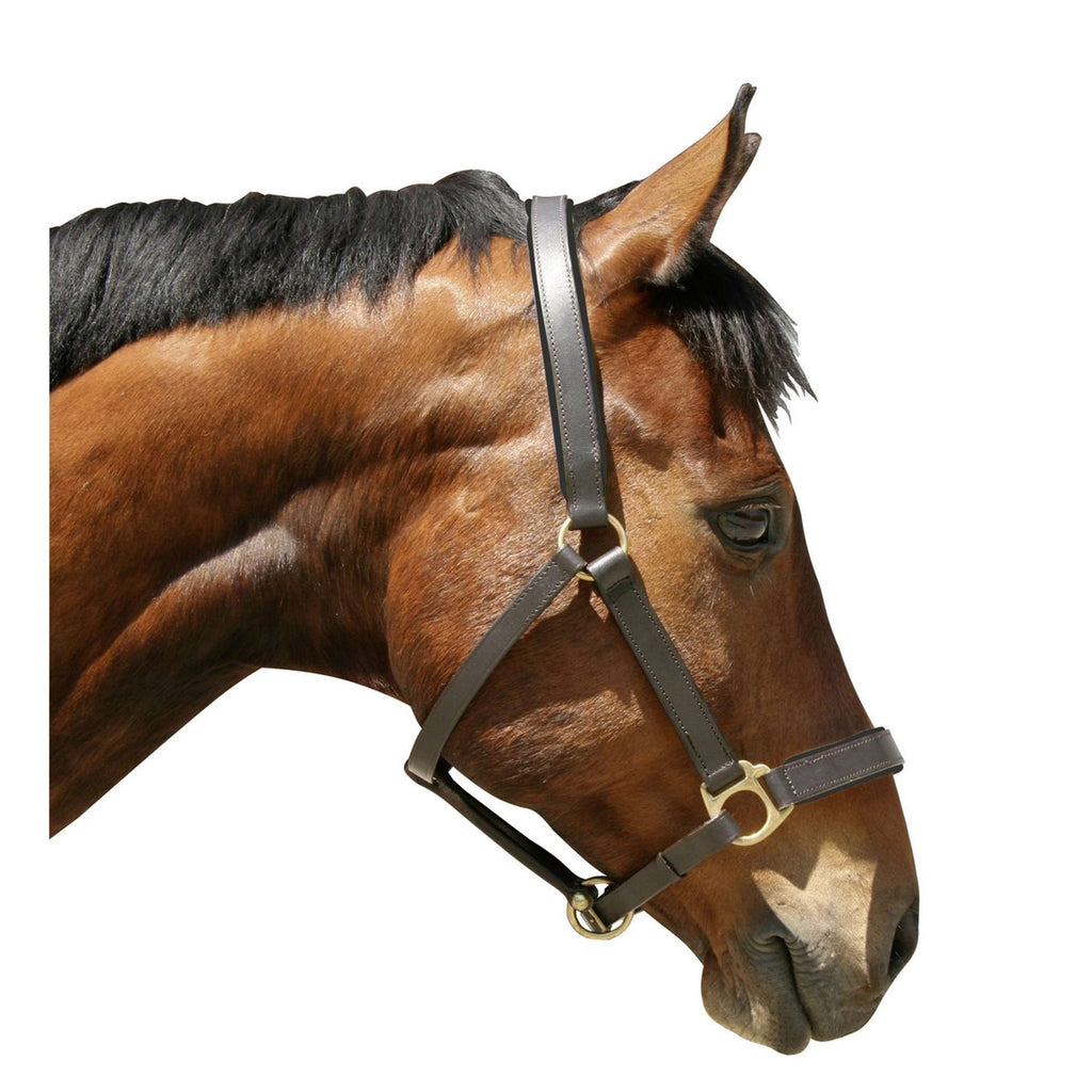 Covalliero Halfter Robustes Leder Braun