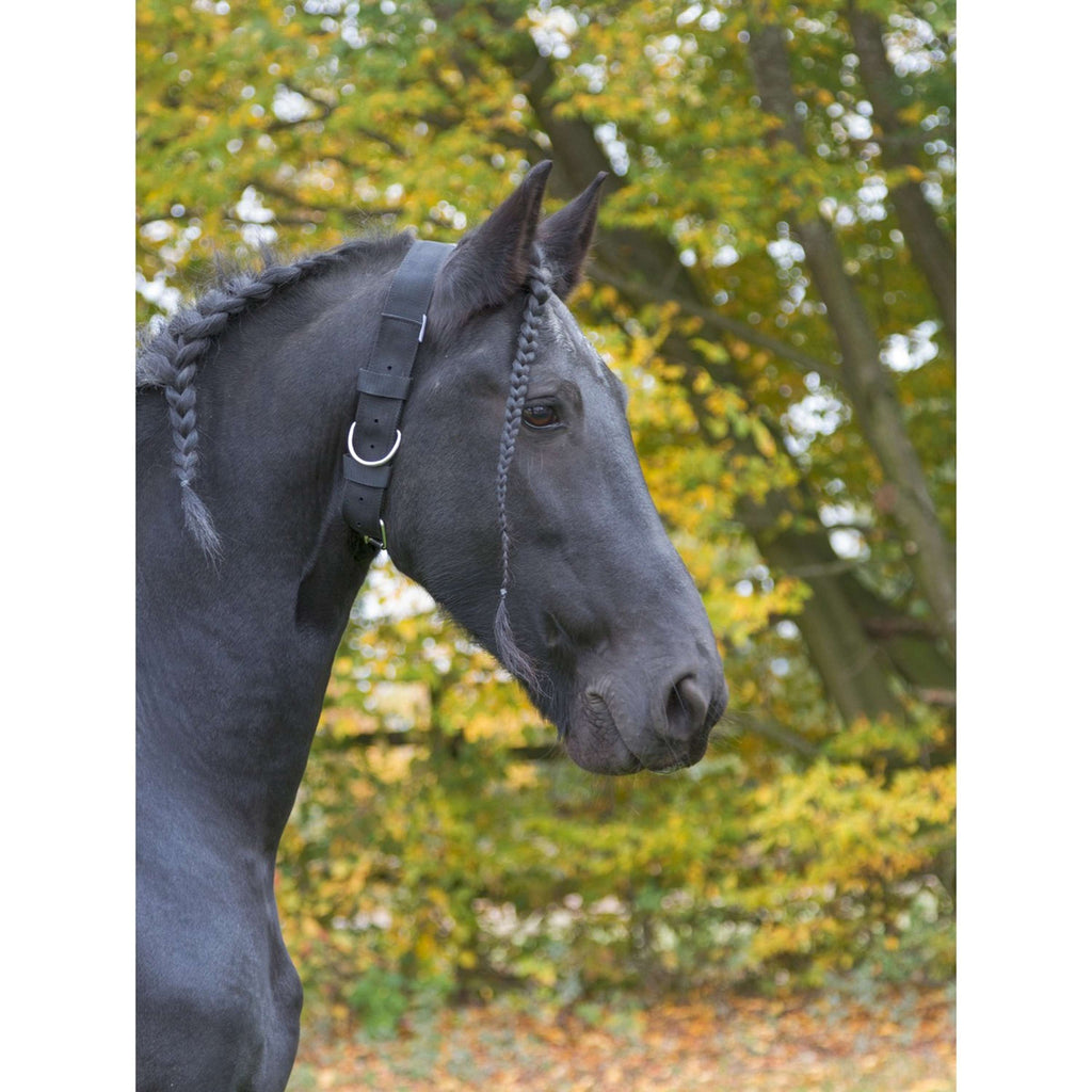 Kerbl Pferdehalsband Schwarz