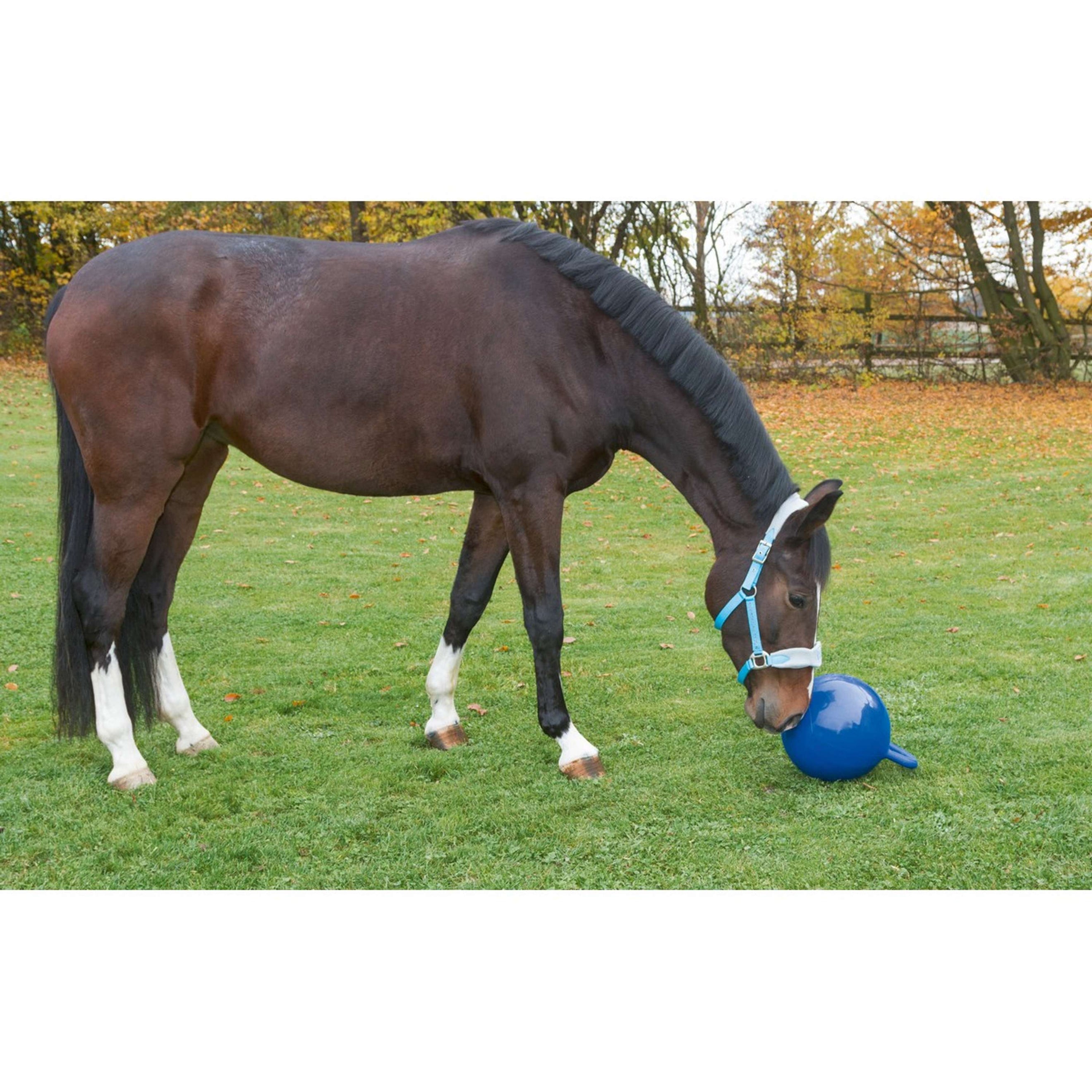 Kerbl Spielball f. Pferde Blau Kerbl Spielball f. Pferde Blau