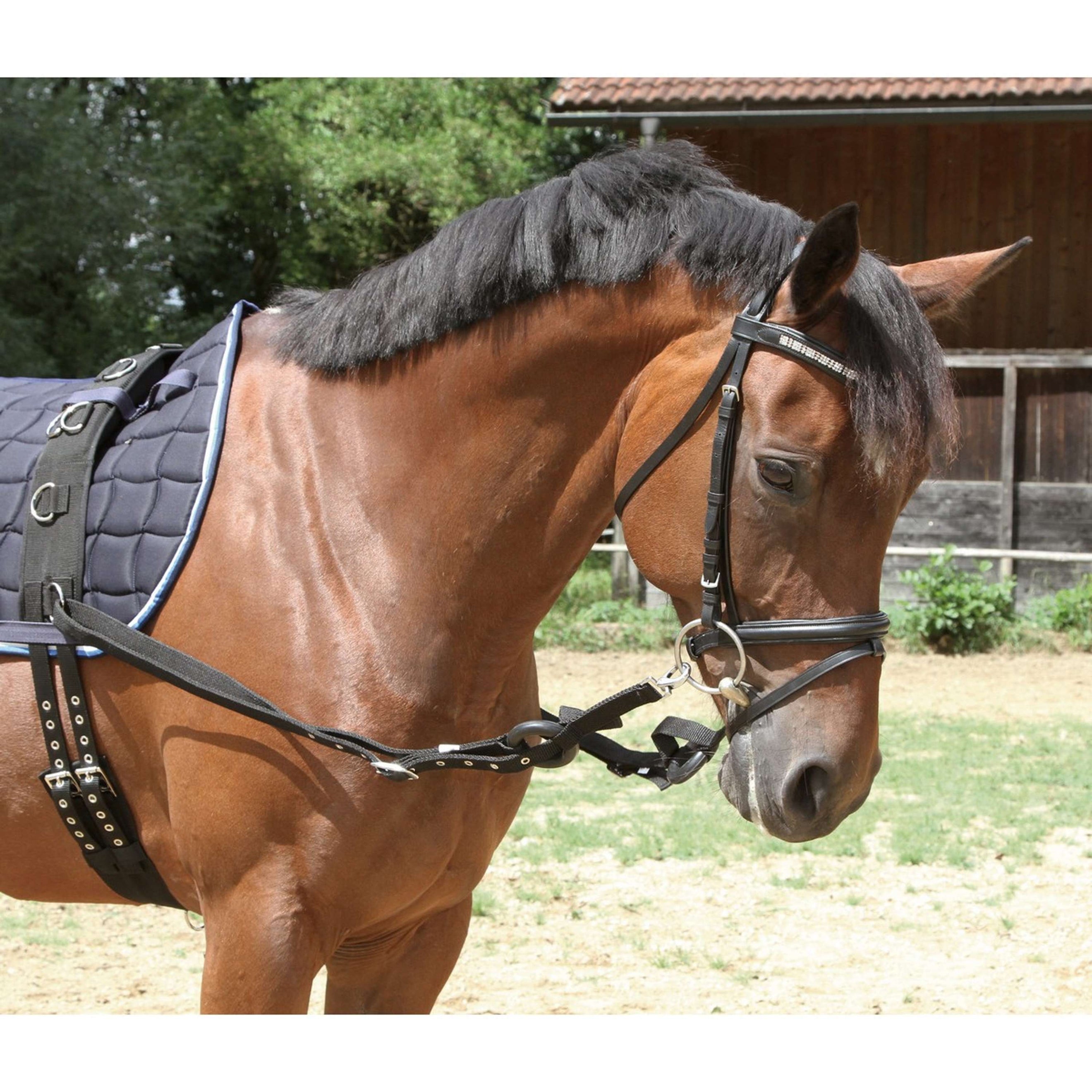 Kerbl Ausbindezügel Schwarz Pony Schwarz Kerbl Ausbindezügel Schwarz Pony Schwarz