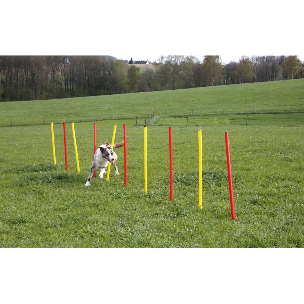 Kerbl Agilitiy Set Komplett 3-Teilig Rot/Gelb