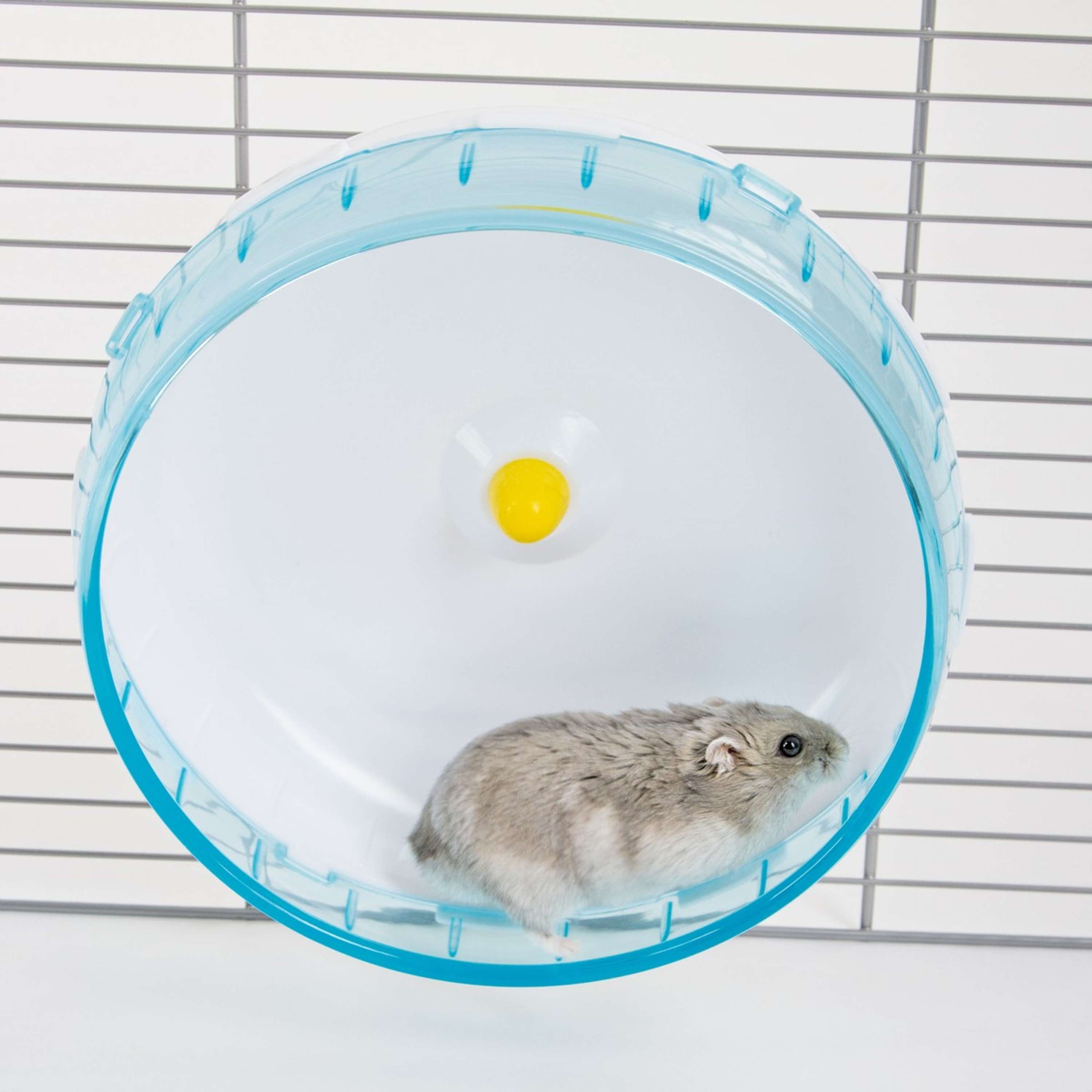 Kerbl Hamsterlaufrad aus Kunststoff Kerbl Hamsterlaufrad aus Kunststoff