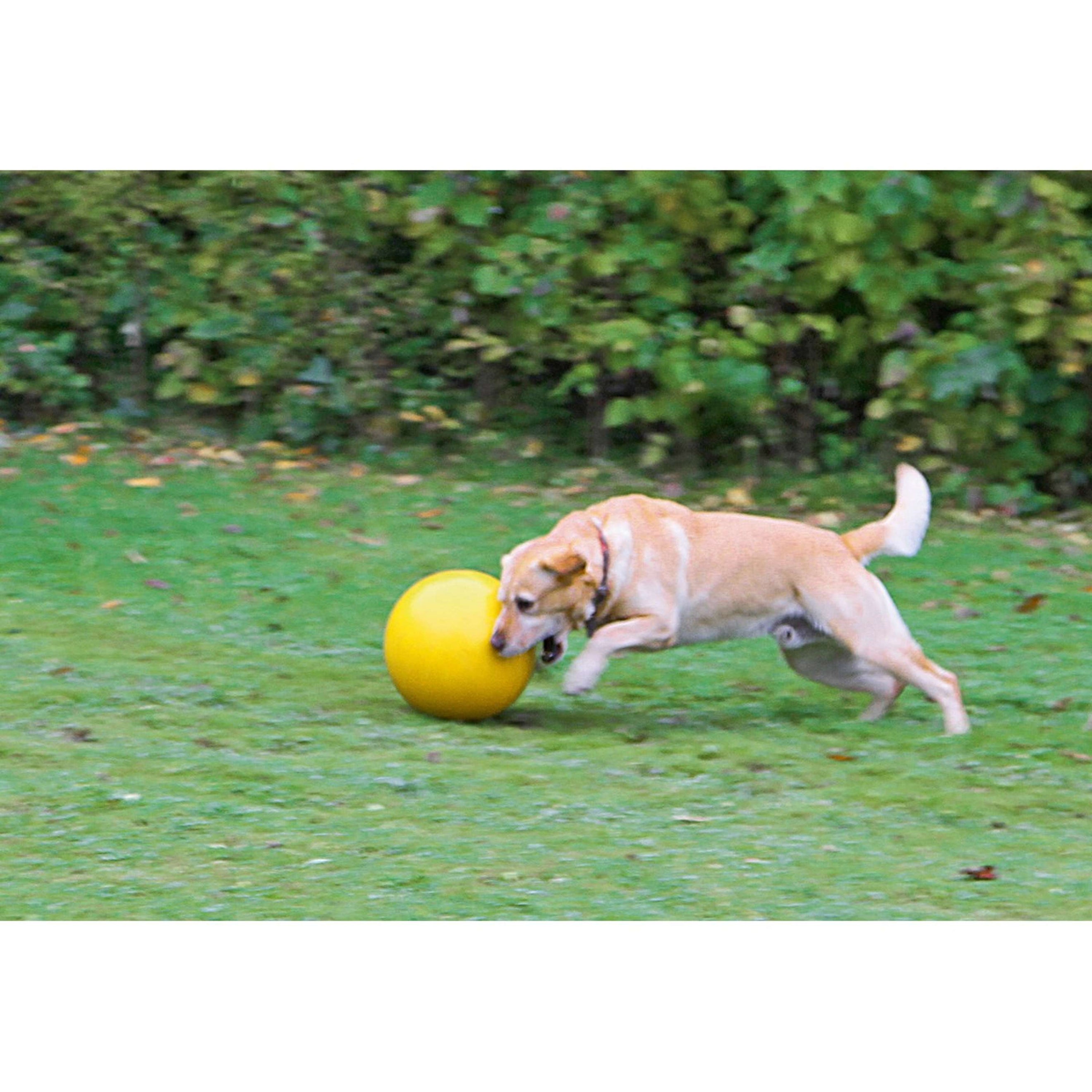 Kerbl Hundespielball Kunststoff Gelb