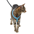 Kerbl Katzengeschirr Active mit Leine Blau