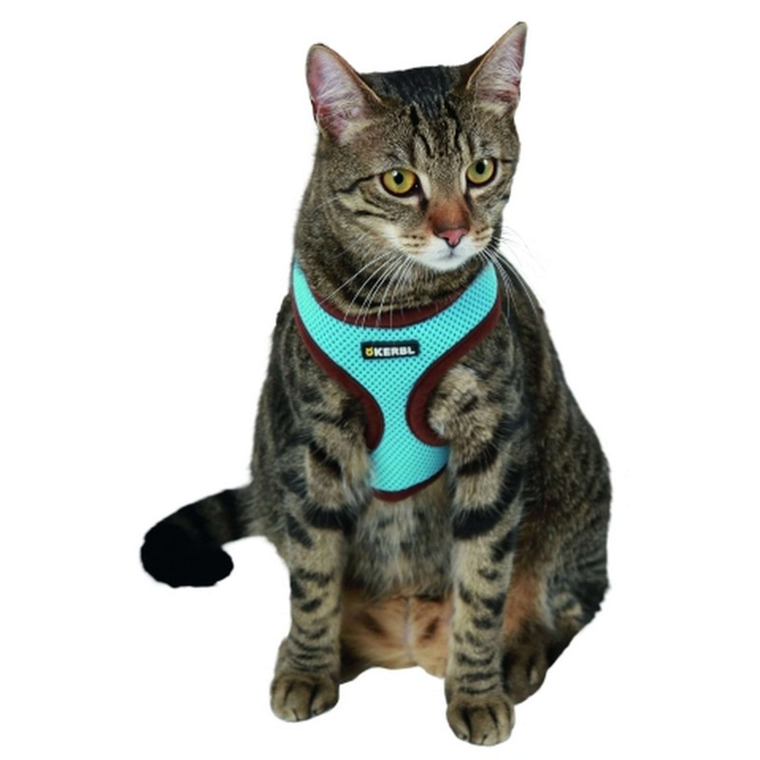 Kerbl Katzengeschirr Active mit Leine Blau Kerbl Katzengeschirr Active mit Leine Blau