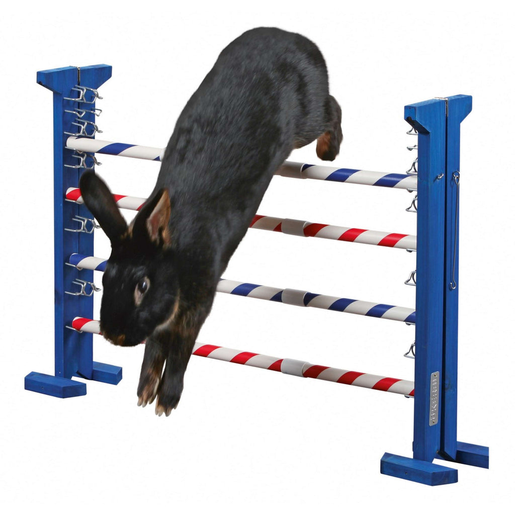 Kerbl Agility Kombisprung für Nager 2