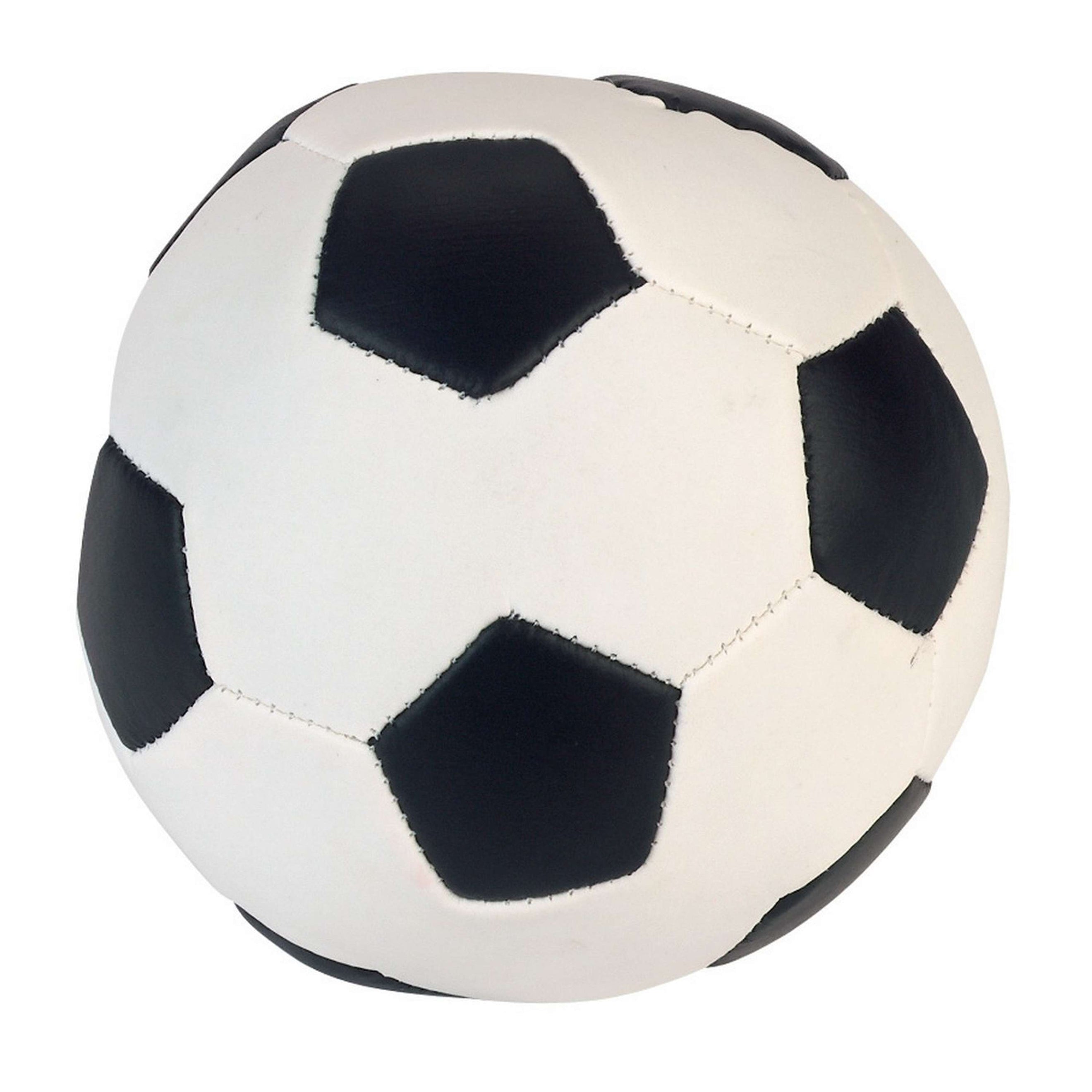 Kerbl Fußball Maxi Pet Soft Kerbl Fußball Maxi Pet Soft