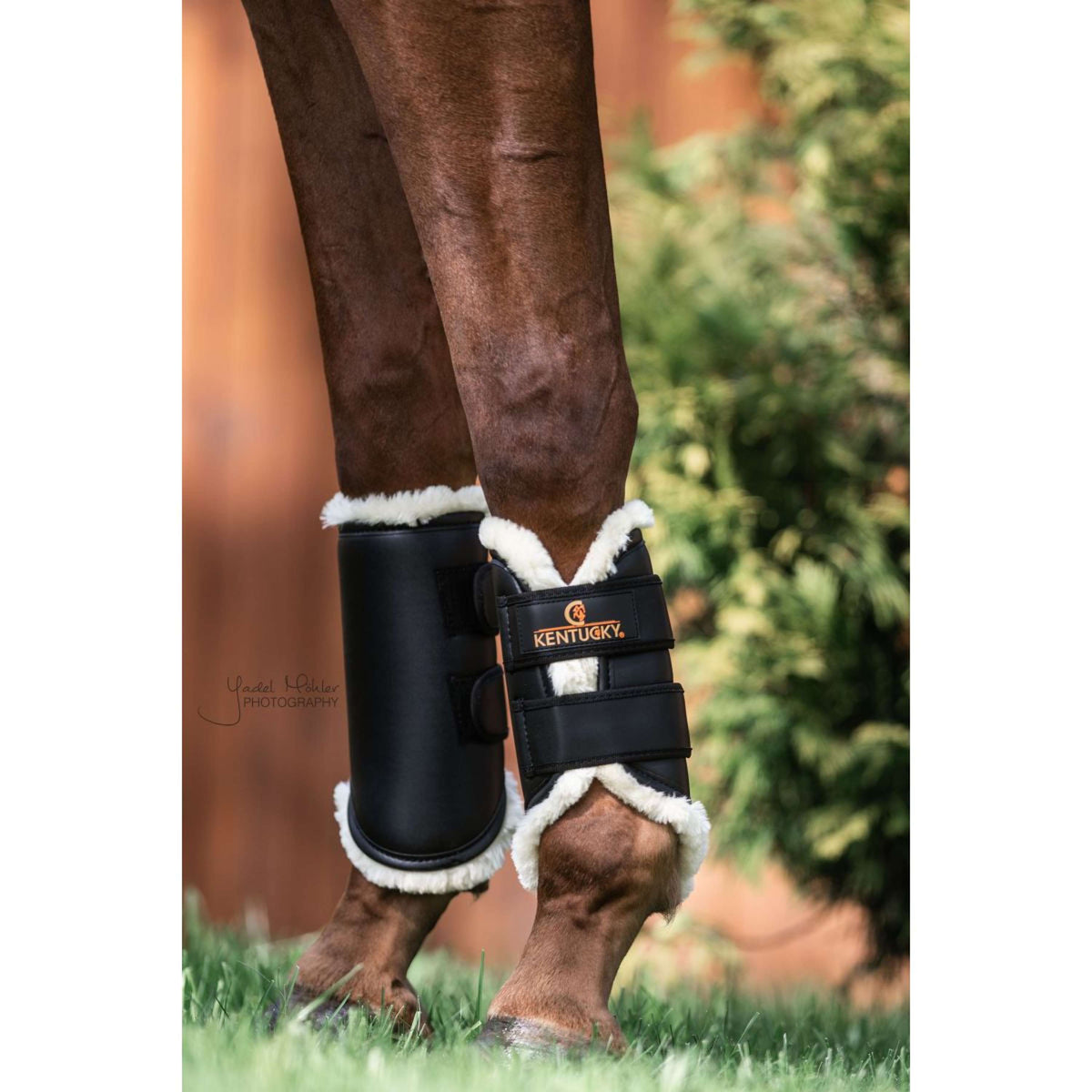 Kentucky Horsewear Turnout Boots Vorderbeine Schwarz