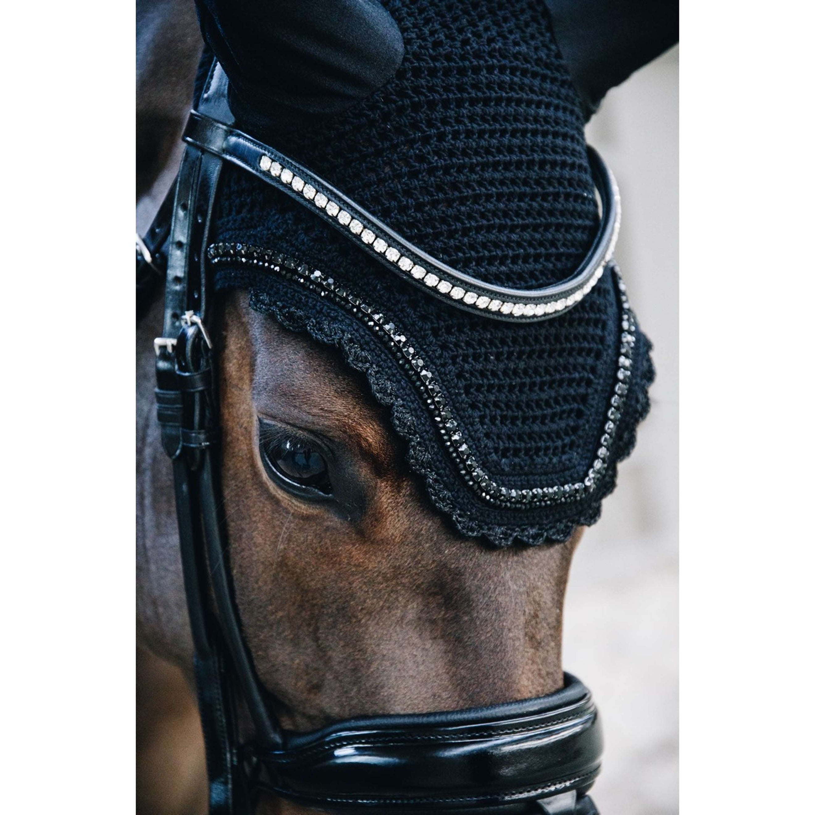 Kentucky Ohrnetz Wellington Stone & Pearl Schwarz Kentucky Ohrnetz Wellington Stone & Pearl Schwarz