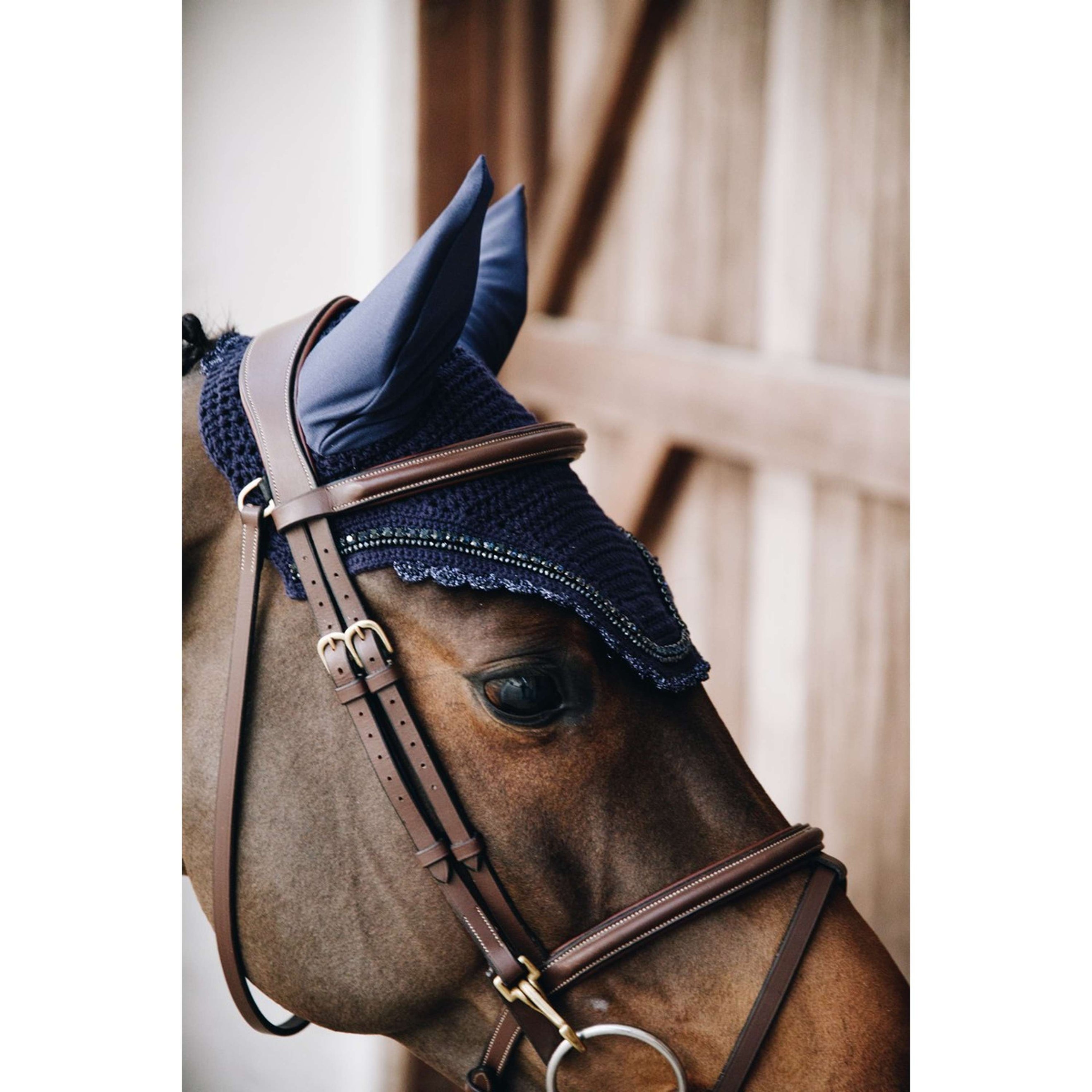 Kentucky Ohrnetz Wellington Stone & Pearl Dark Navy