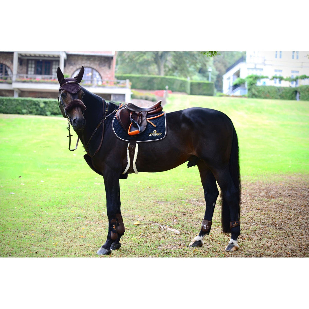 Kentucky Brustgeschirr Schutxbezug Sheepskin Braun