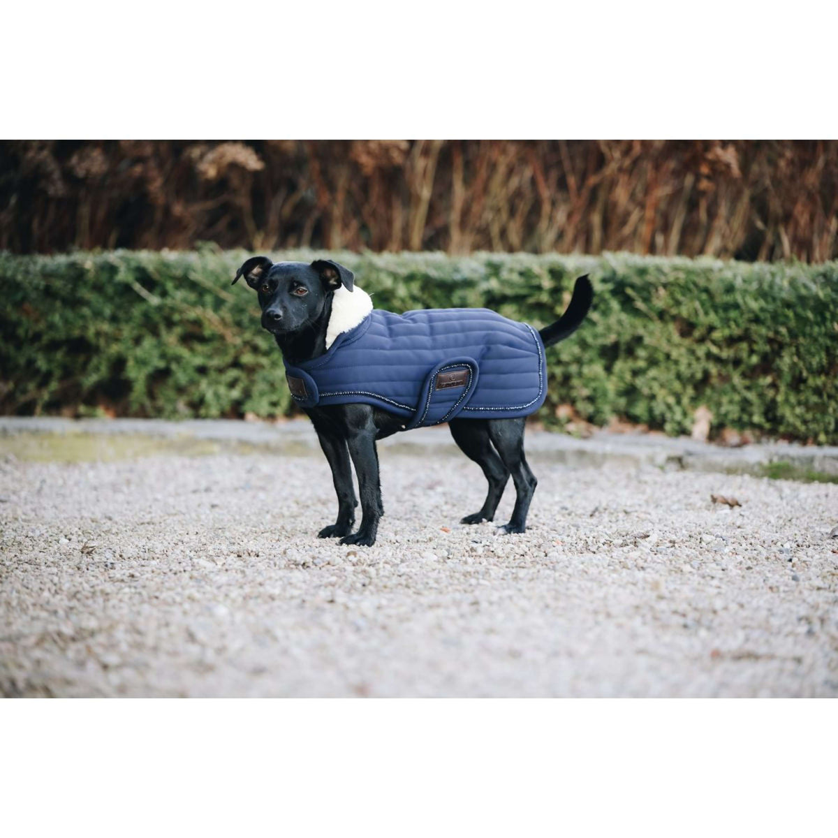 Kentucky Hundejacke Pearls Navy