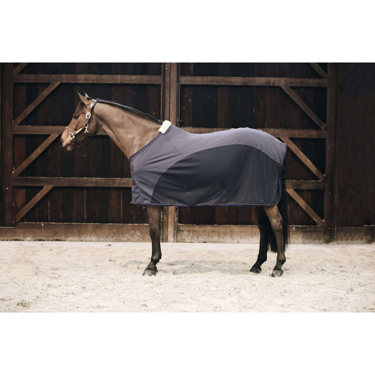 Kentucky Cooler Sheet Softshell