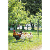 Ako Geflügelnetz Einzelspitze Grün