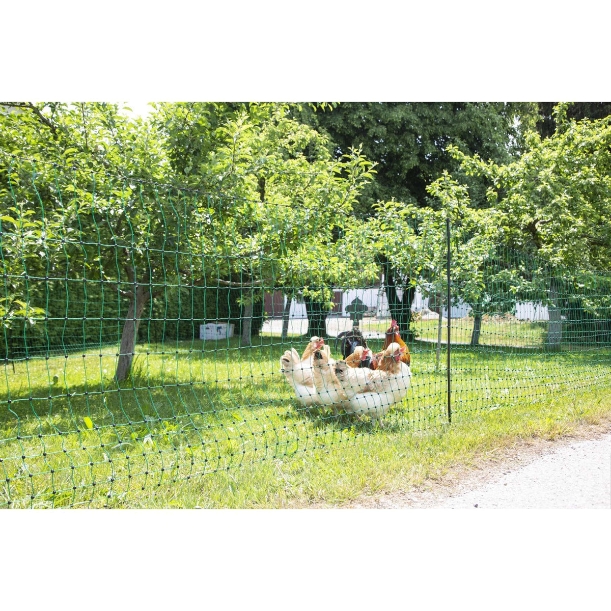 Ako Geflügelnetz Einzelspitze Grün