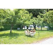 Ako Geflügelnetz Einzelspitze Grün