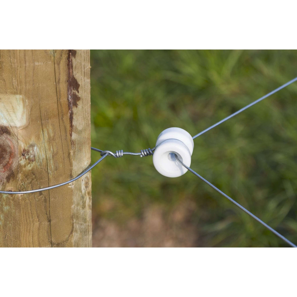 Ako Porzellan Eckisolator Beige 6 Stück