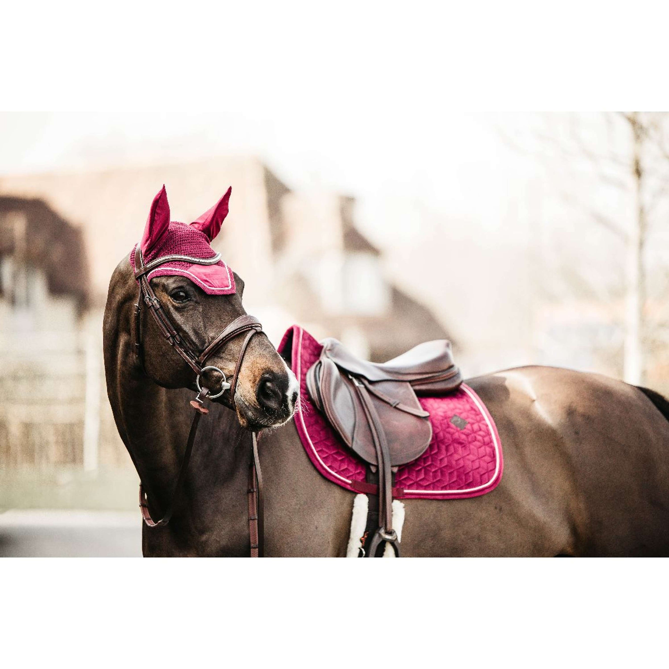 Kentucky Schabracke Velvet Springen Fuchsia Kentucky Schabracke Velvet Springen Fuchsia