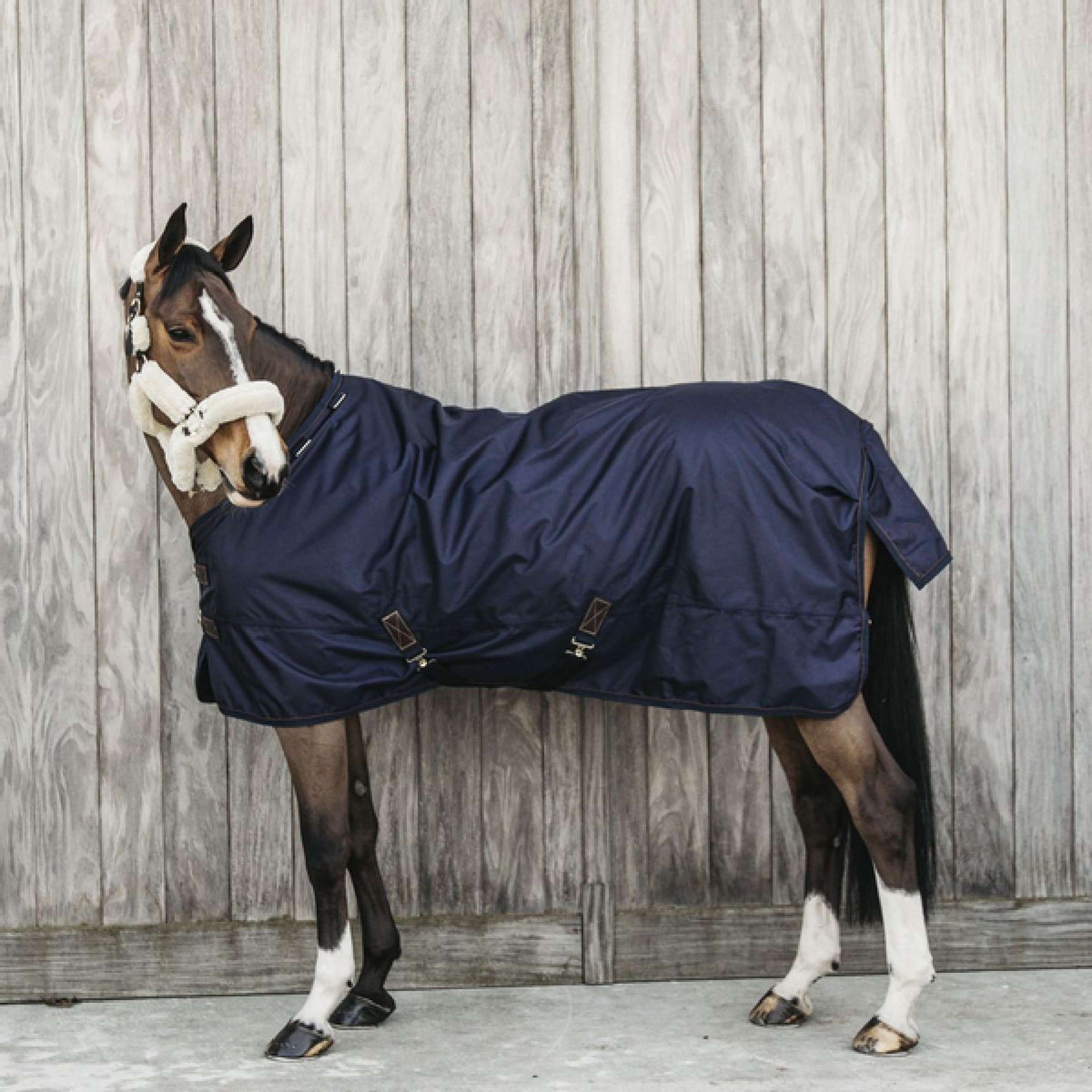 Kentucky Turnout All Weather 160g Navy Kentucky Turnout All Weather 160g Navy