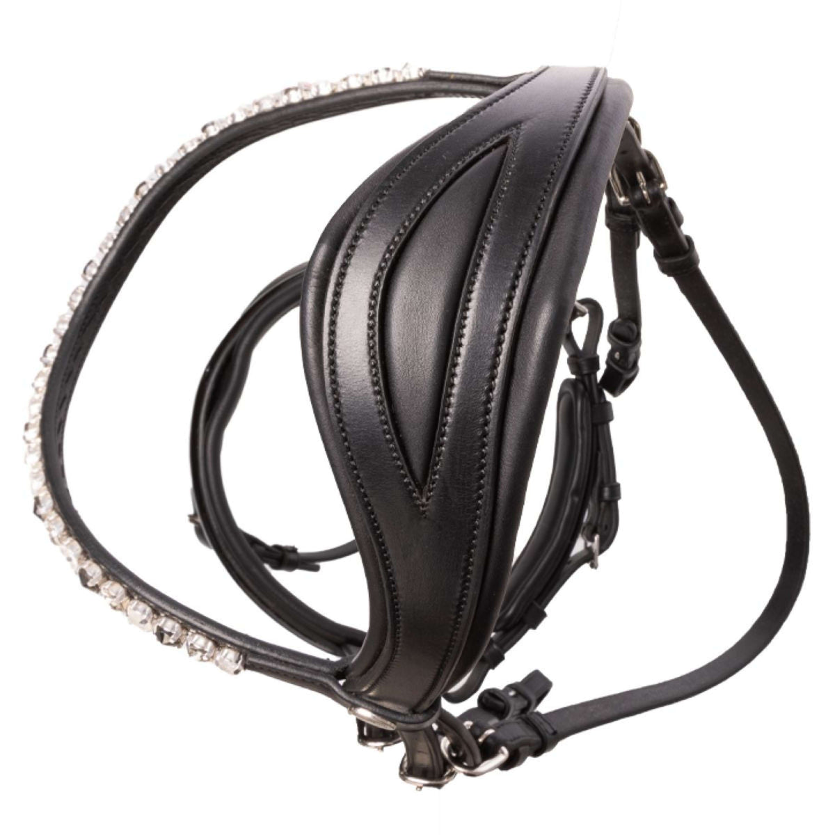 Kavalkade Zaum Zora Schwarz