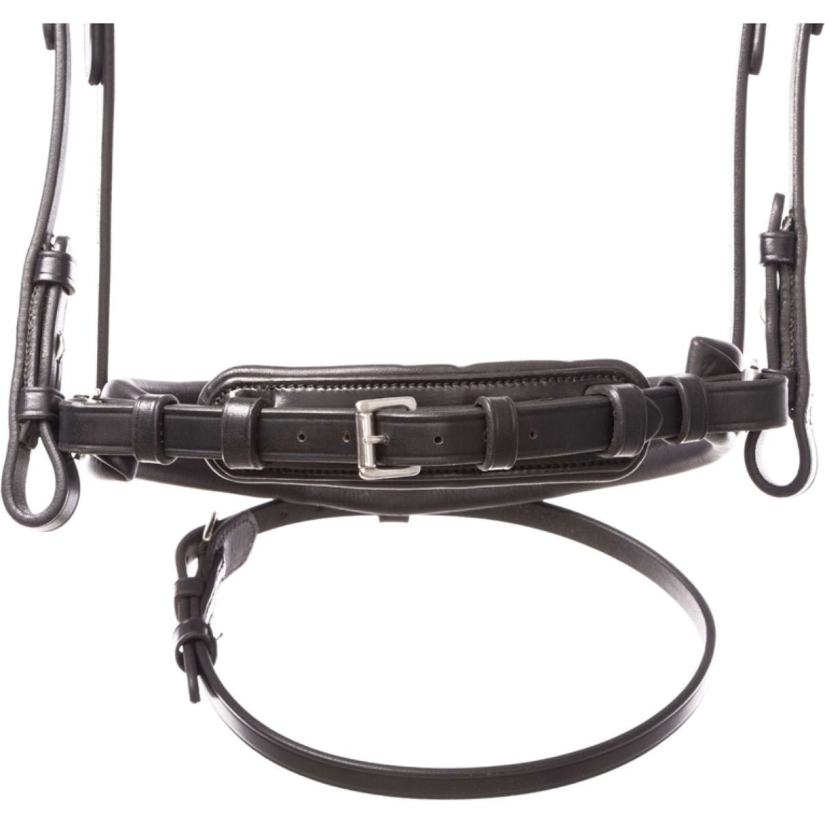 Kavalkade Zaum Zora Schwarz