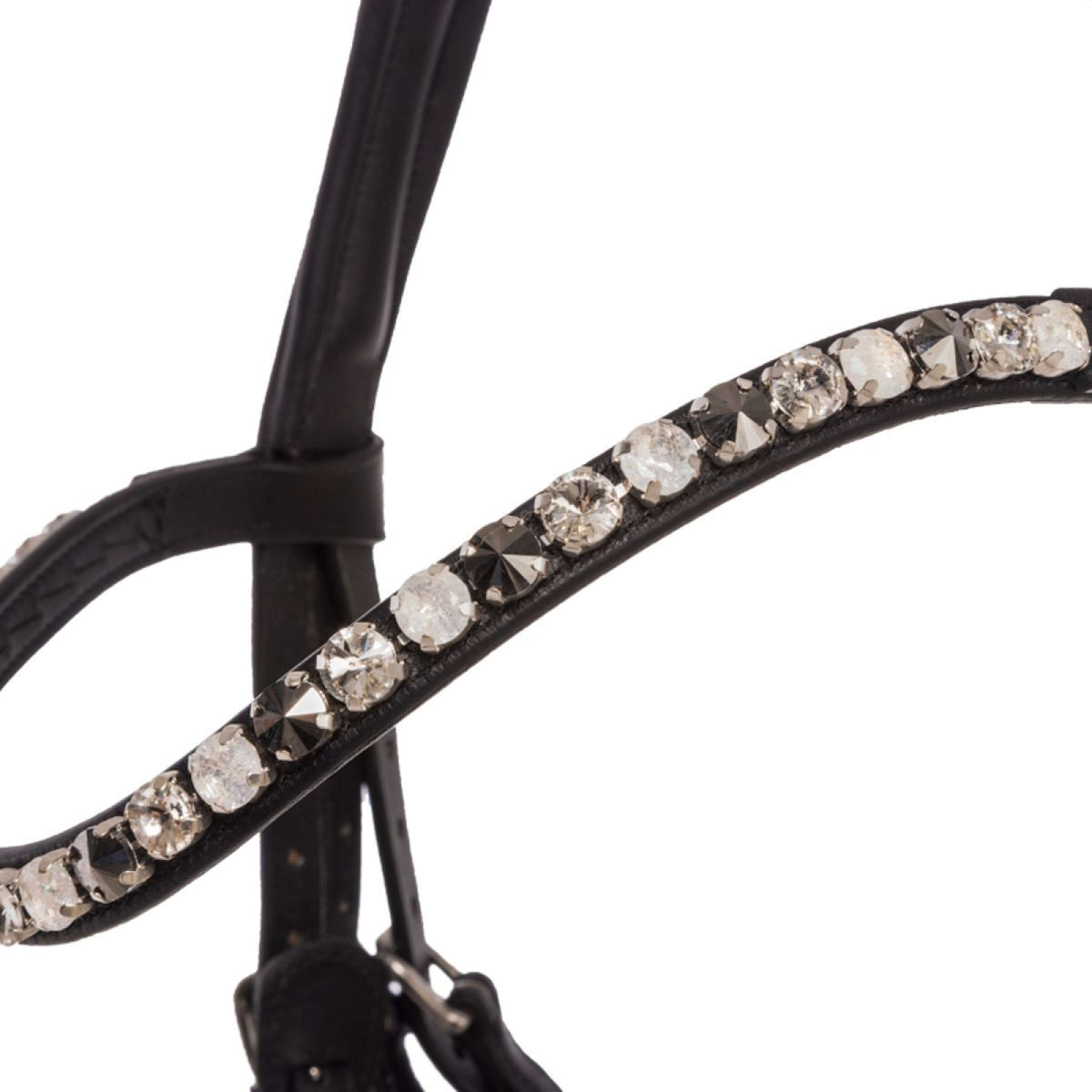 Kavalkade Zaum Zora Schwarz