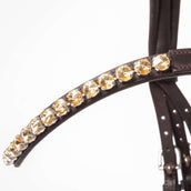 Kavalkade Zaum Zora Braun