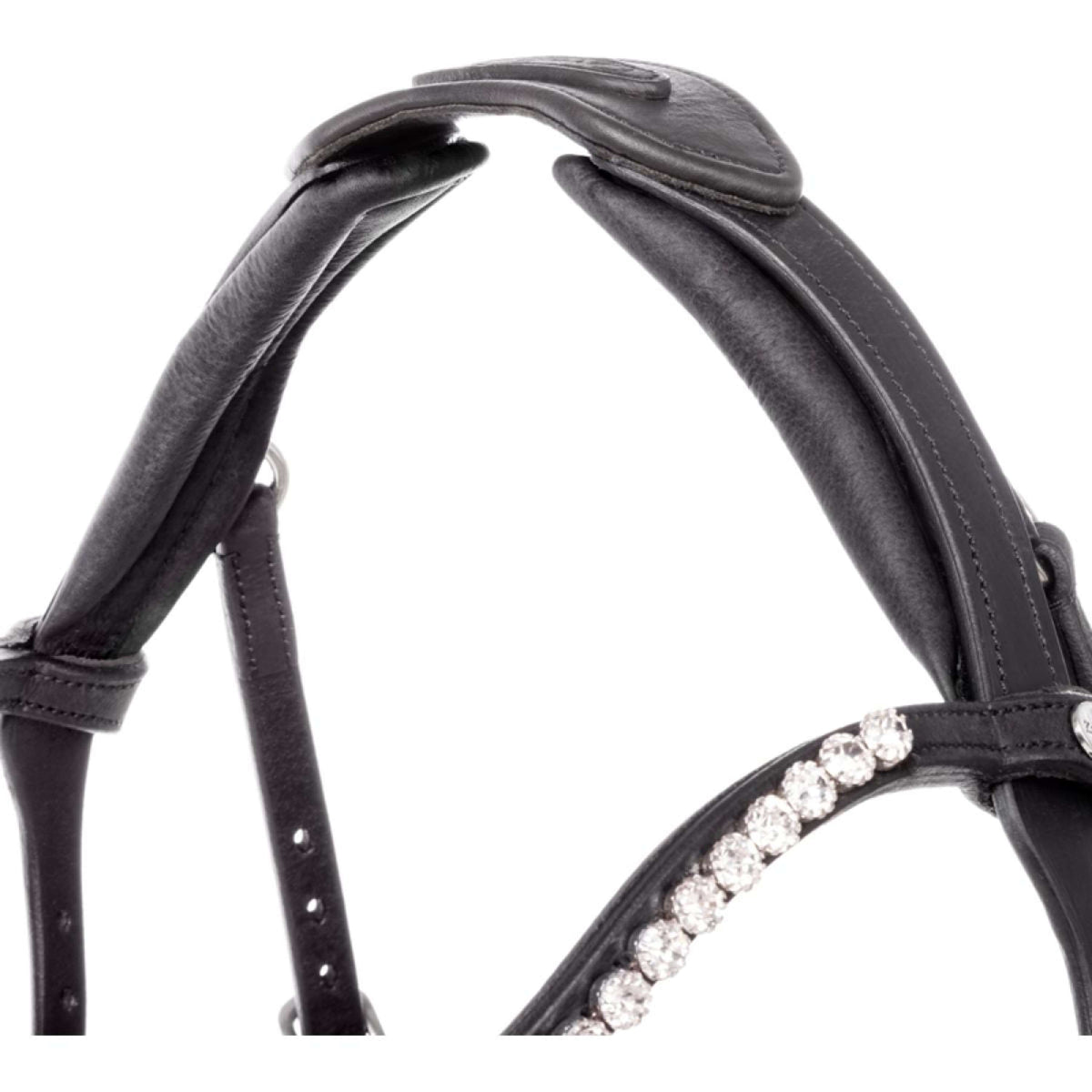 Kavalkade Zaum Caliano Schwarz/Silber