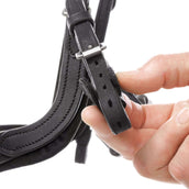 Kavalkade Zaum Caliano Schwarz/Silber