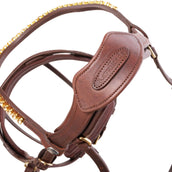 Kavalkade Zaum Caliano Braun/Messing