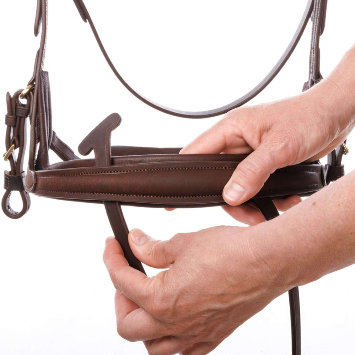 Kavalkade Zaum Caliano Braun/Messing