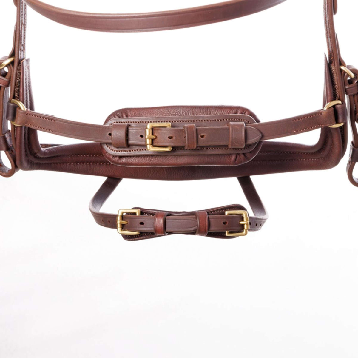 Kavalkade Zaum Caliano Braun/Messing