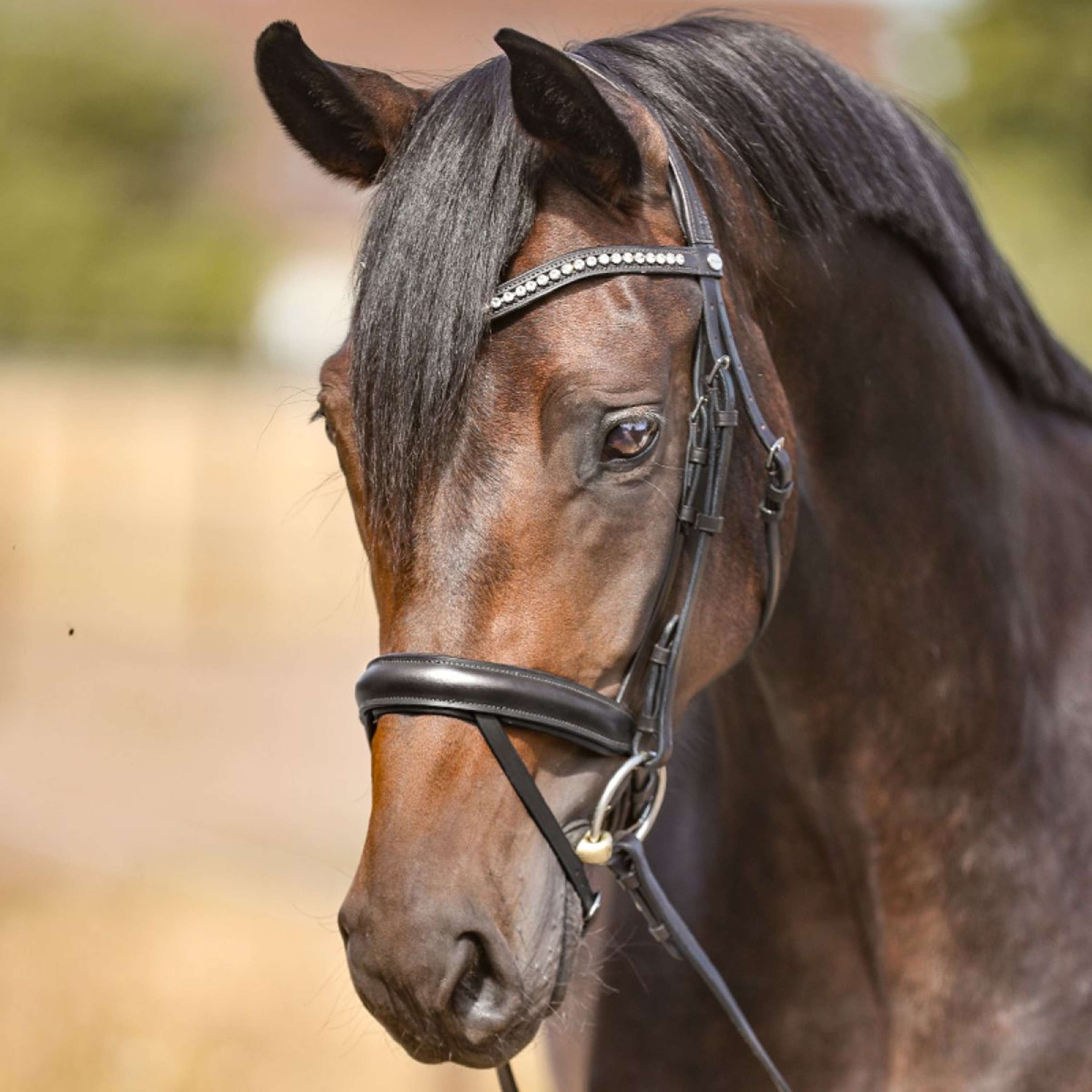 Kavalkade Stirnband weiße Strasssteine Schwarz