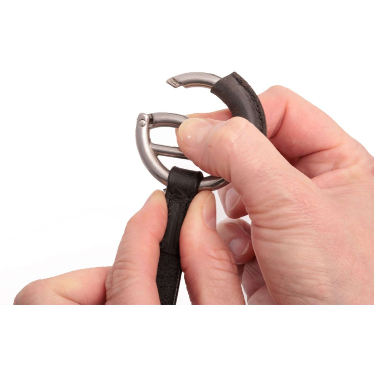 Kavalkade Martingal Azriel Schwarz