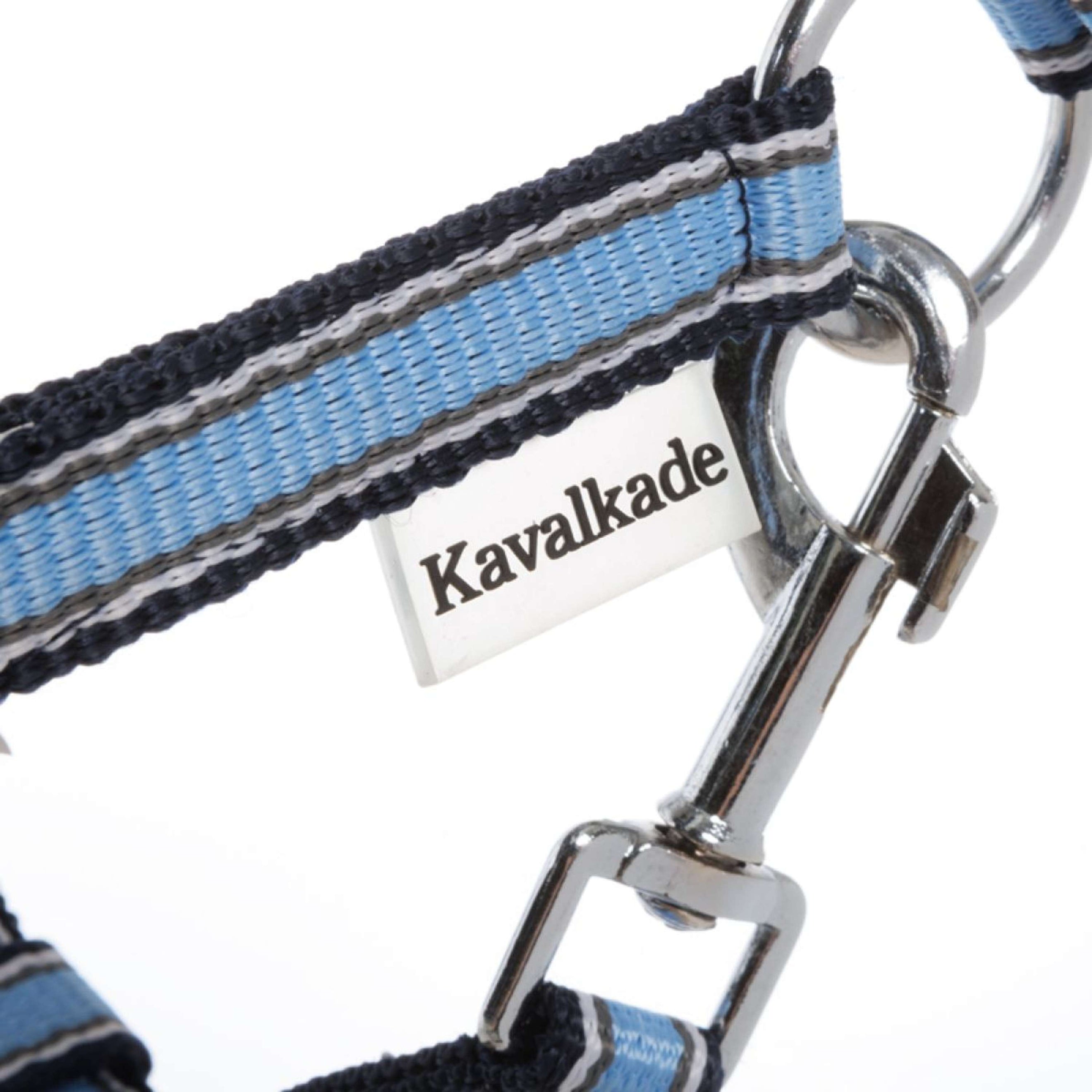 Kavalkade Halfter Shorty Petrol/Schwarz/Silber Kavalkade Halfter Shorty Petrol/Schwarz/Silber