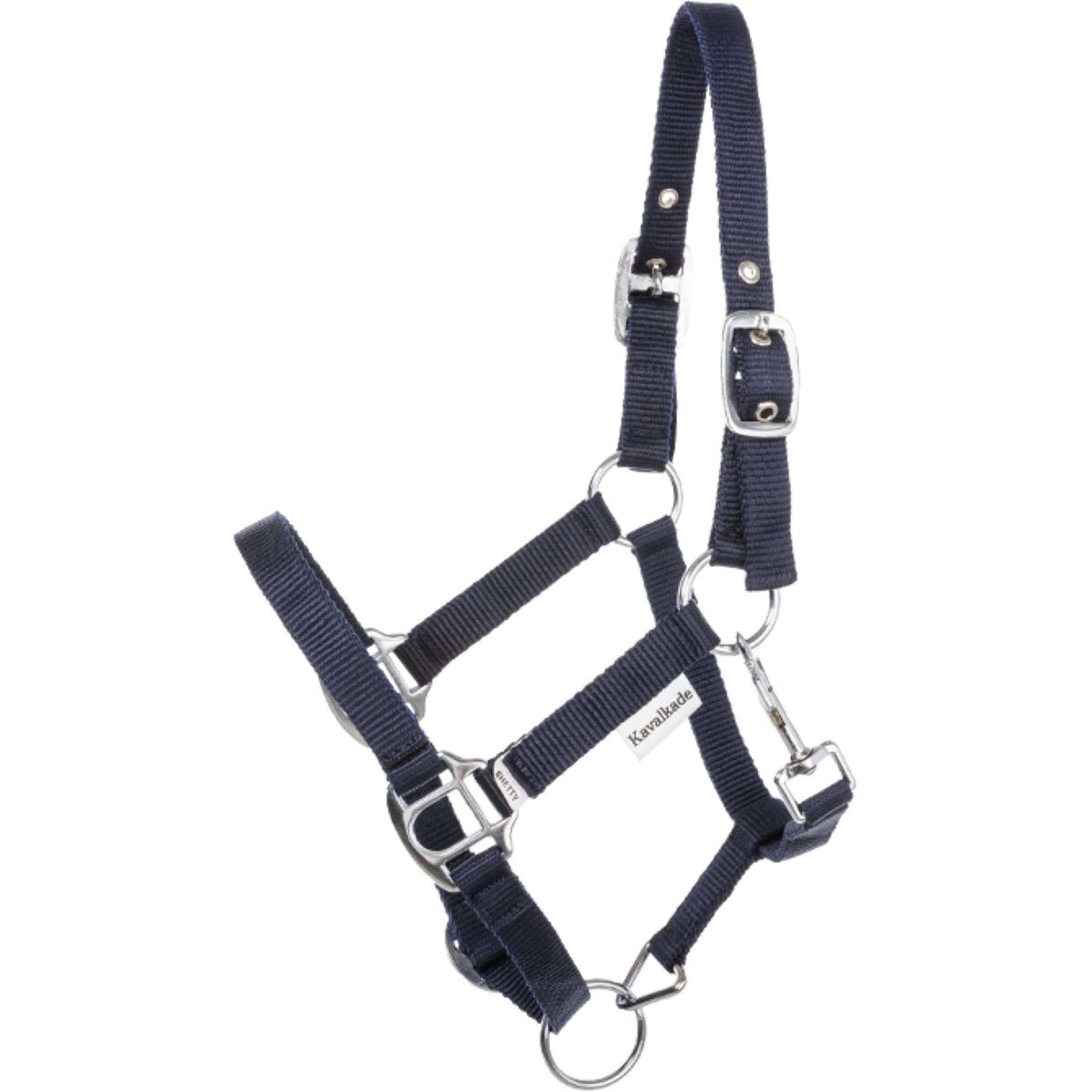 Kavalkade Halfter Shorty Navy Kavalkade Halfter Shorty Navy