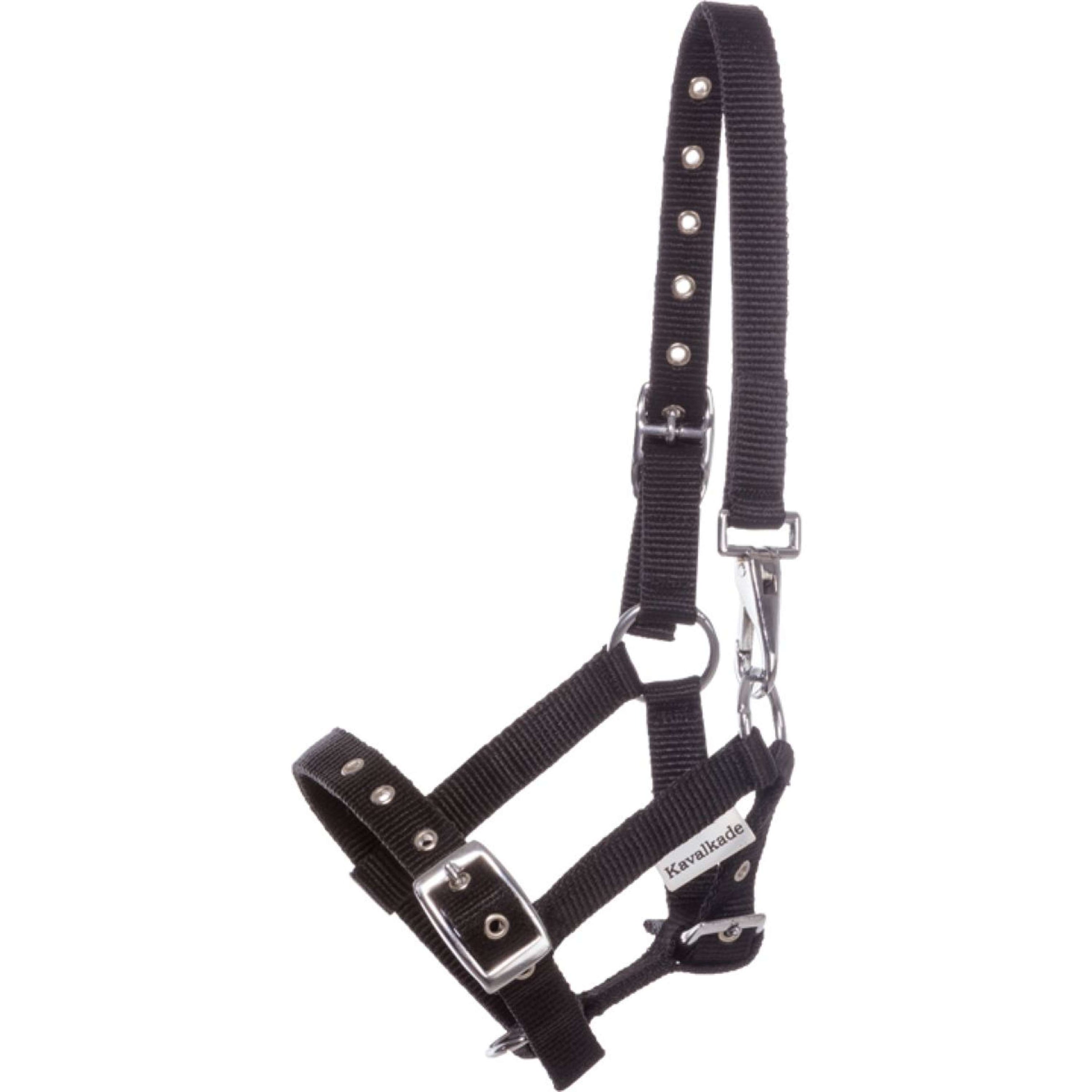 Kavalkade Halfter Foal/Yearling Schwarz Kavalkade Halfter Foal/Yearling Schwarz