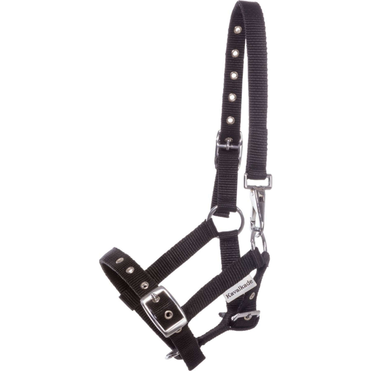Kavalkade Halfter Foal/Yearling Schwarz