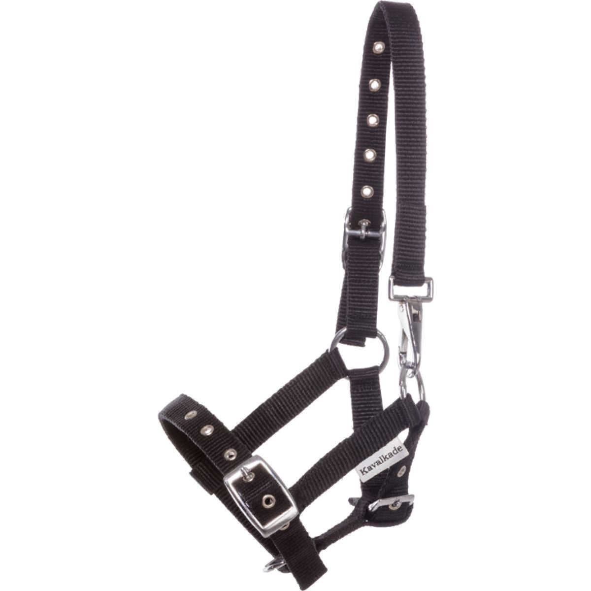 Kavalkade Halfter Foal/Yearling Schwarz