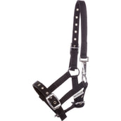 Kavalkade Halfter Foal/Yearling Schwarz