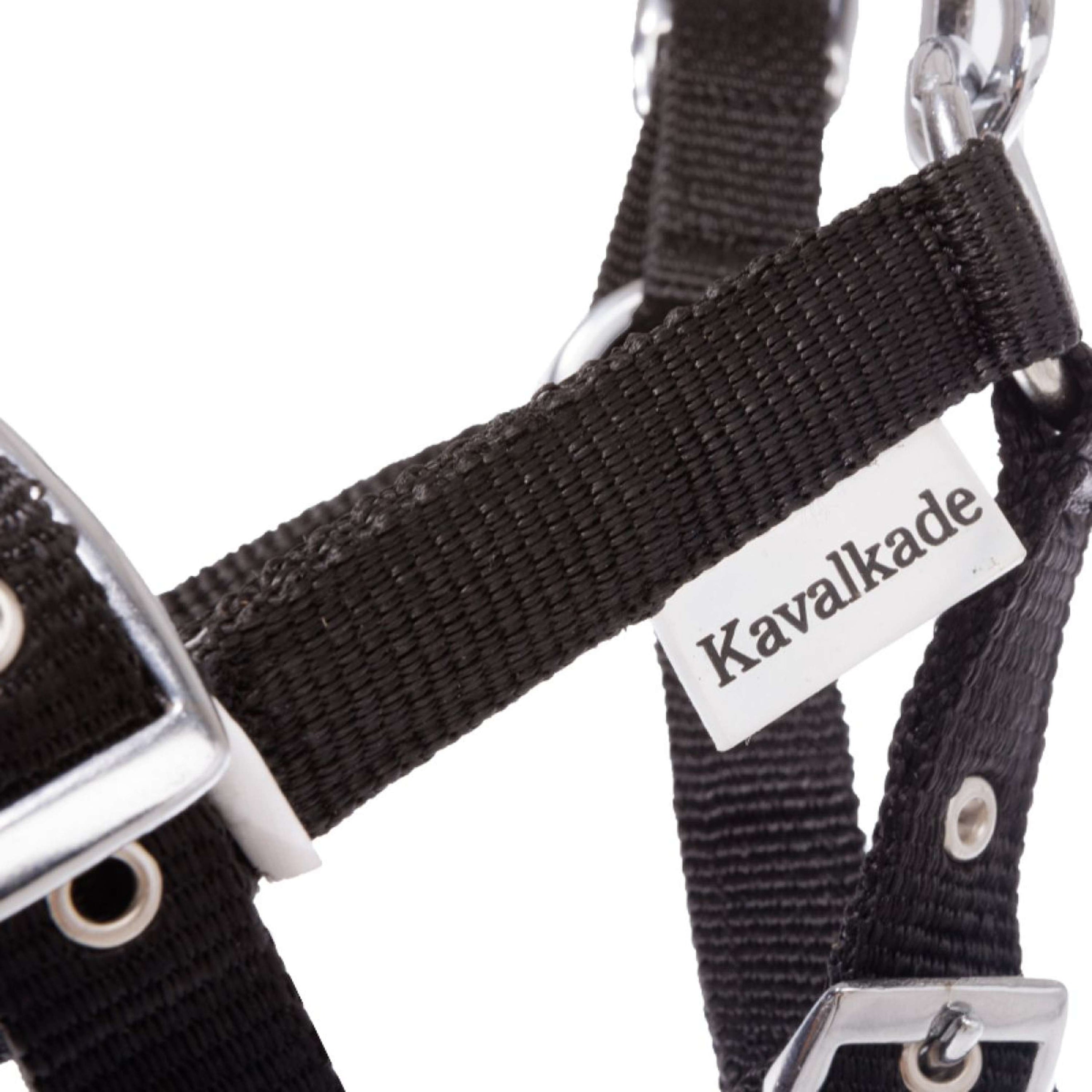 Kavalkade Halfter Foal/Yearling Schwarz Kavalkade Halfter Foal/Yearling Schwarz