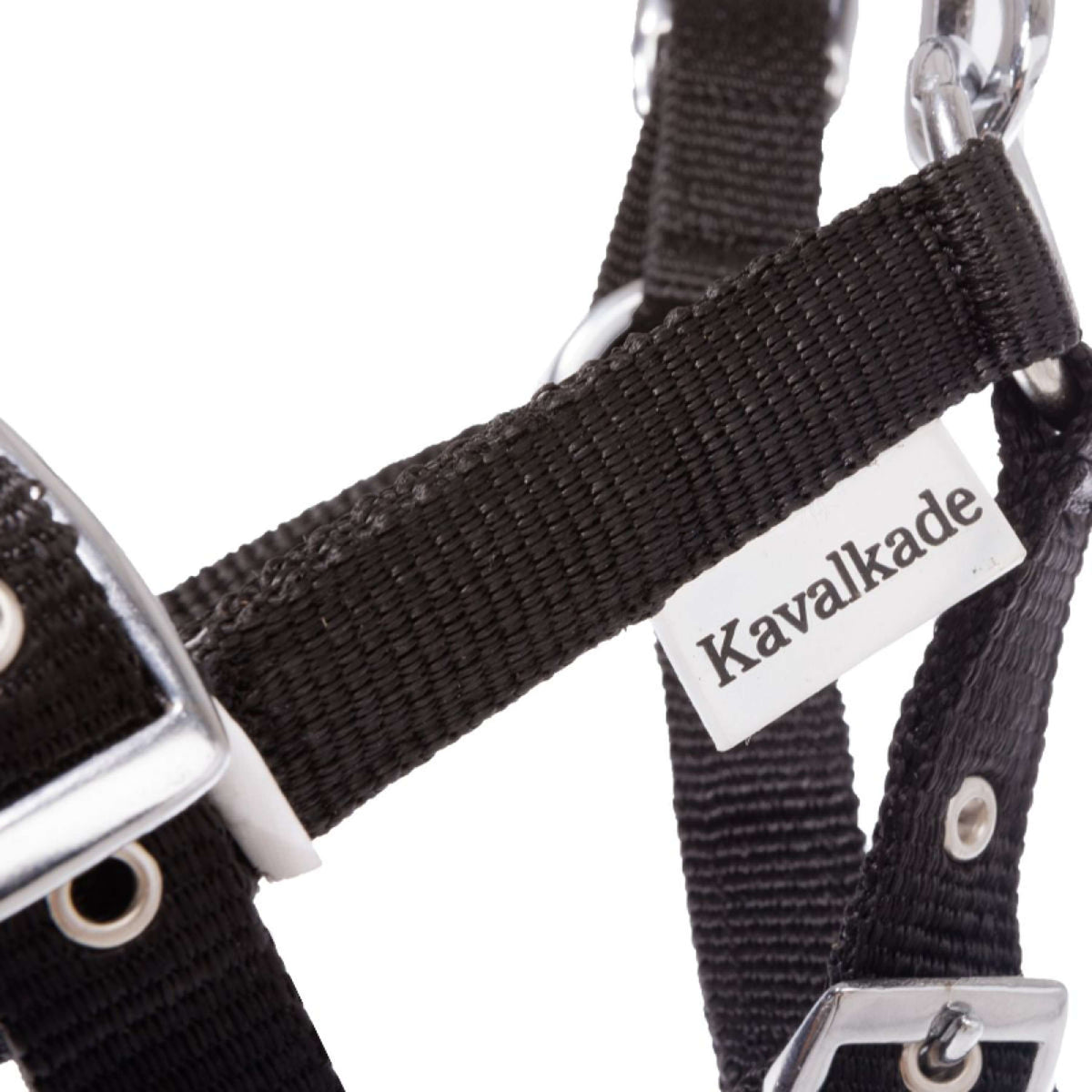 Kavalkade Halfter Foal/Yearling Schwarz