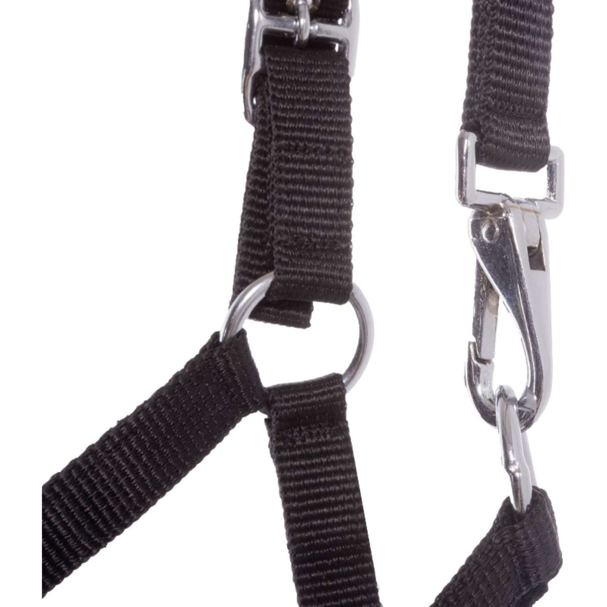 Kavalkade Halfter Foal/Yearling Schwarz